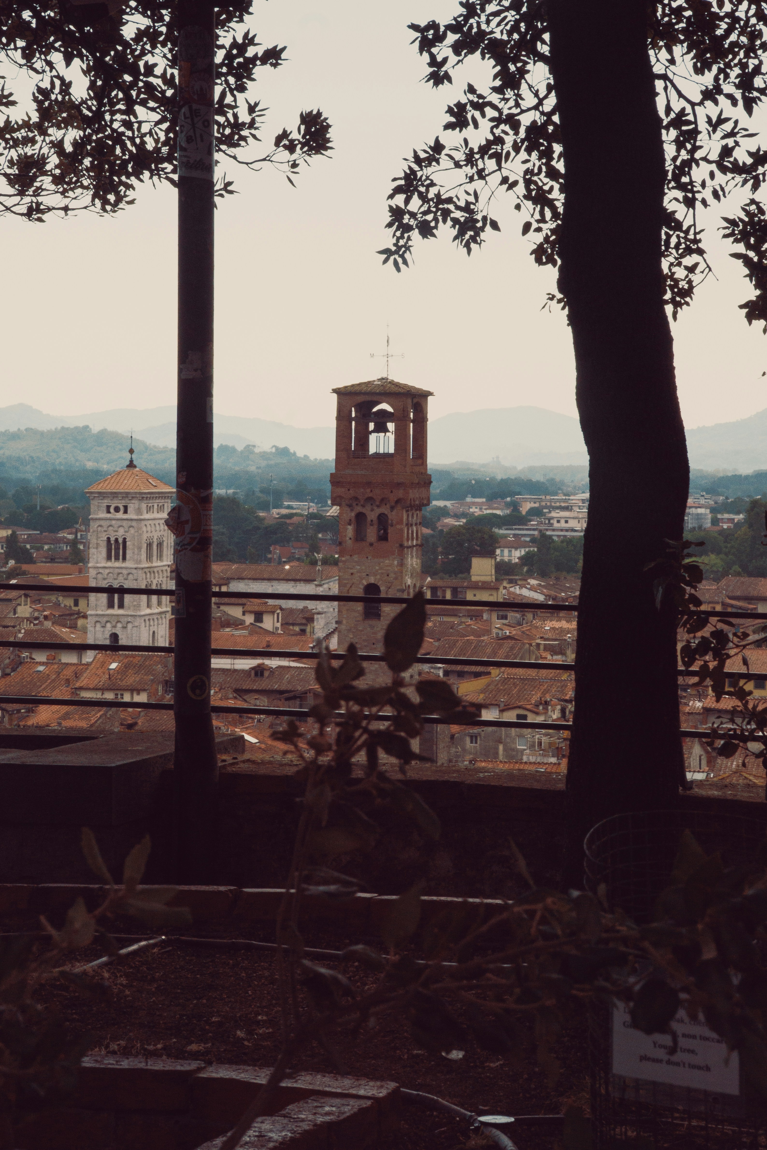 A view of terracotta rooftops and bell towers in Lucca, Italy, framed by trees