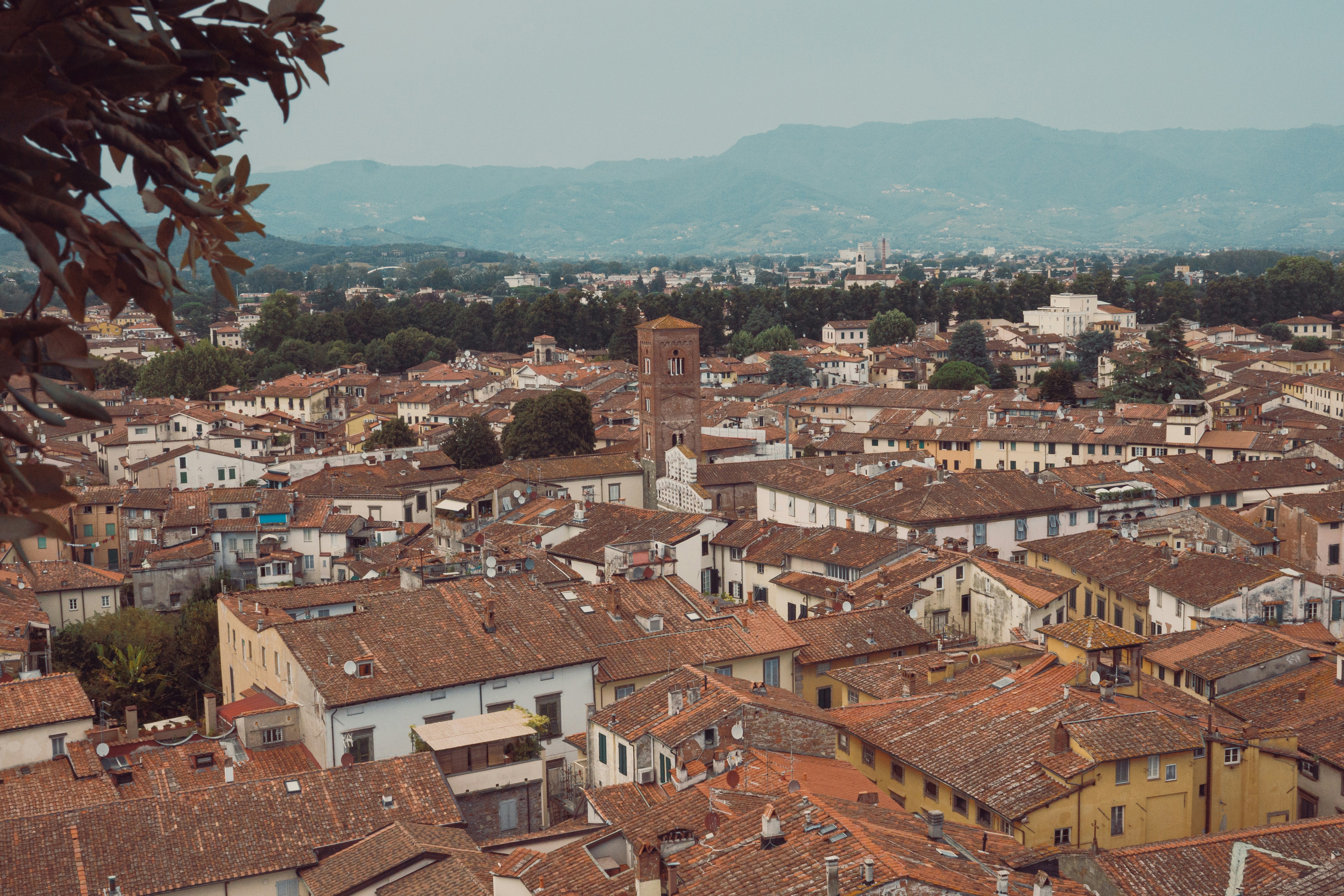 An aerial view of the terracotta rooftops and a bell tower in Lucca, Italy