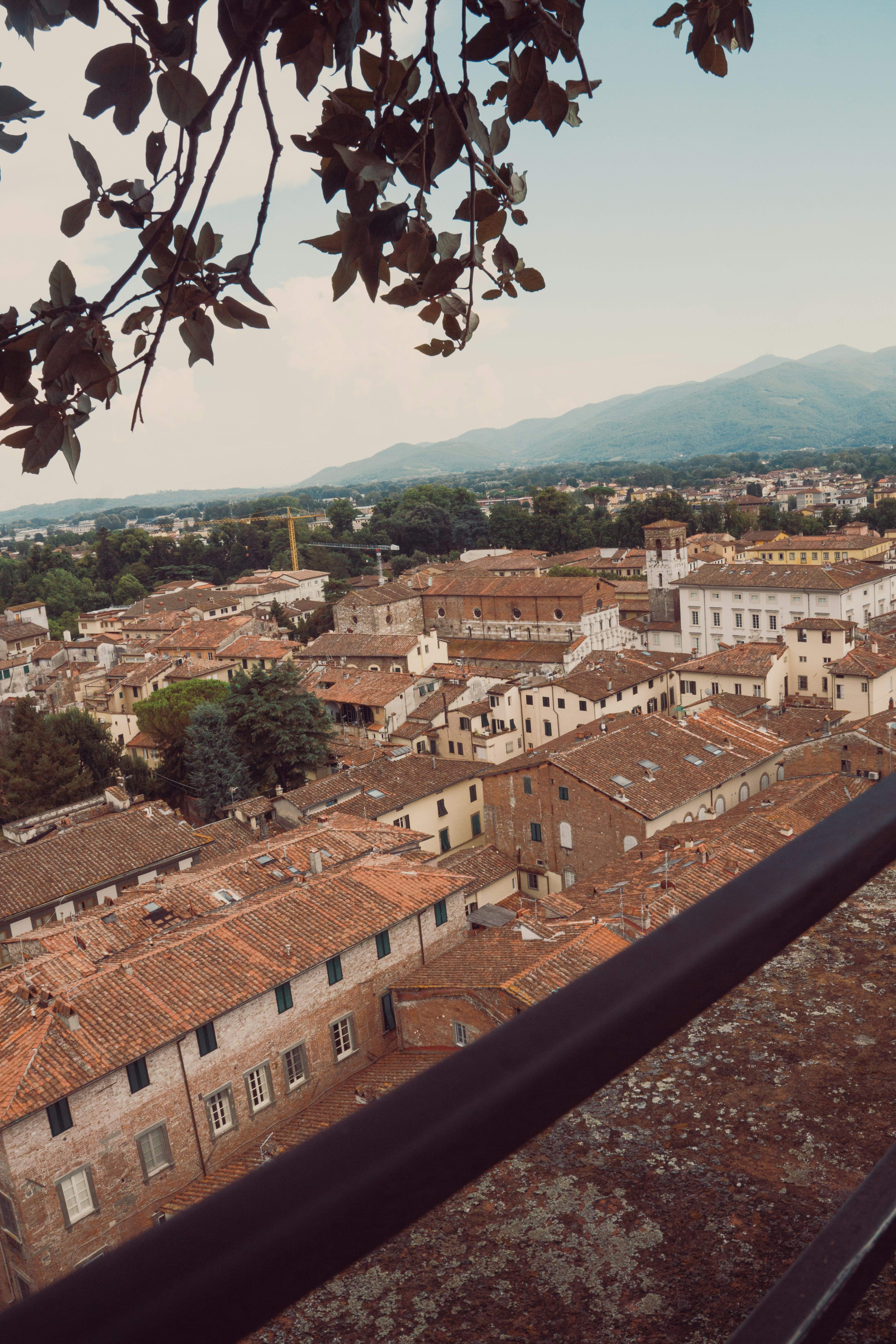 An elevated view of terracotta rooftops in Lucca, Italy, with distant mountains
