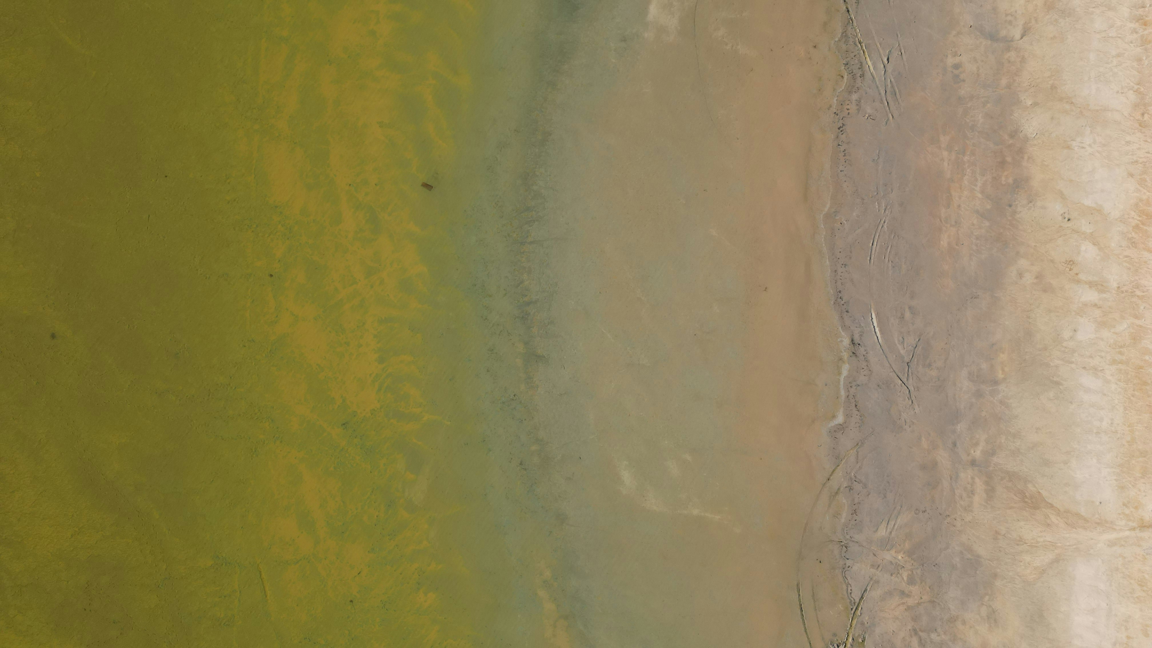 An aerial view of a shoreline with green water and sandy beach.