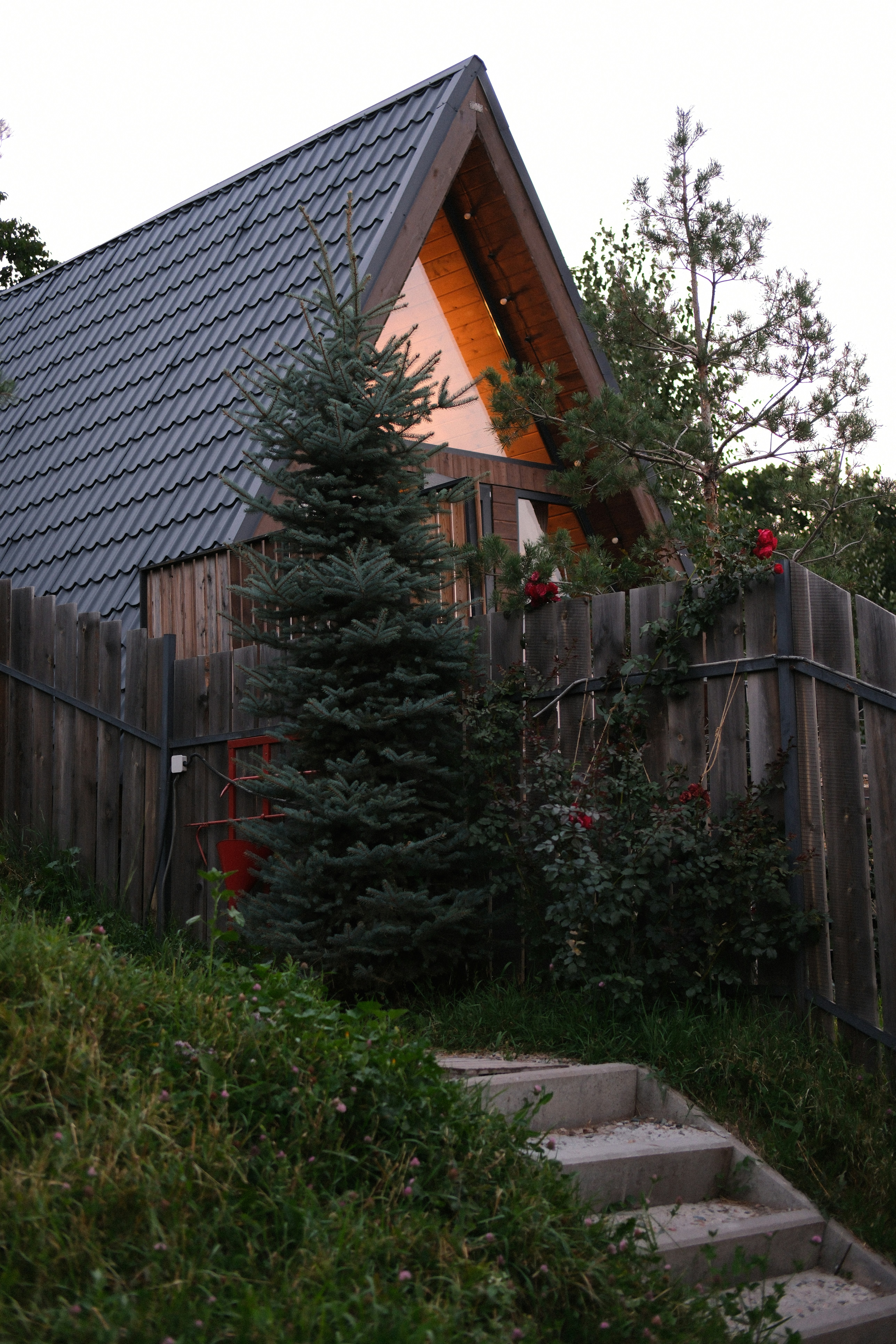 An A-frame cabin with a dark roof behind a wooden fence and spruce tree