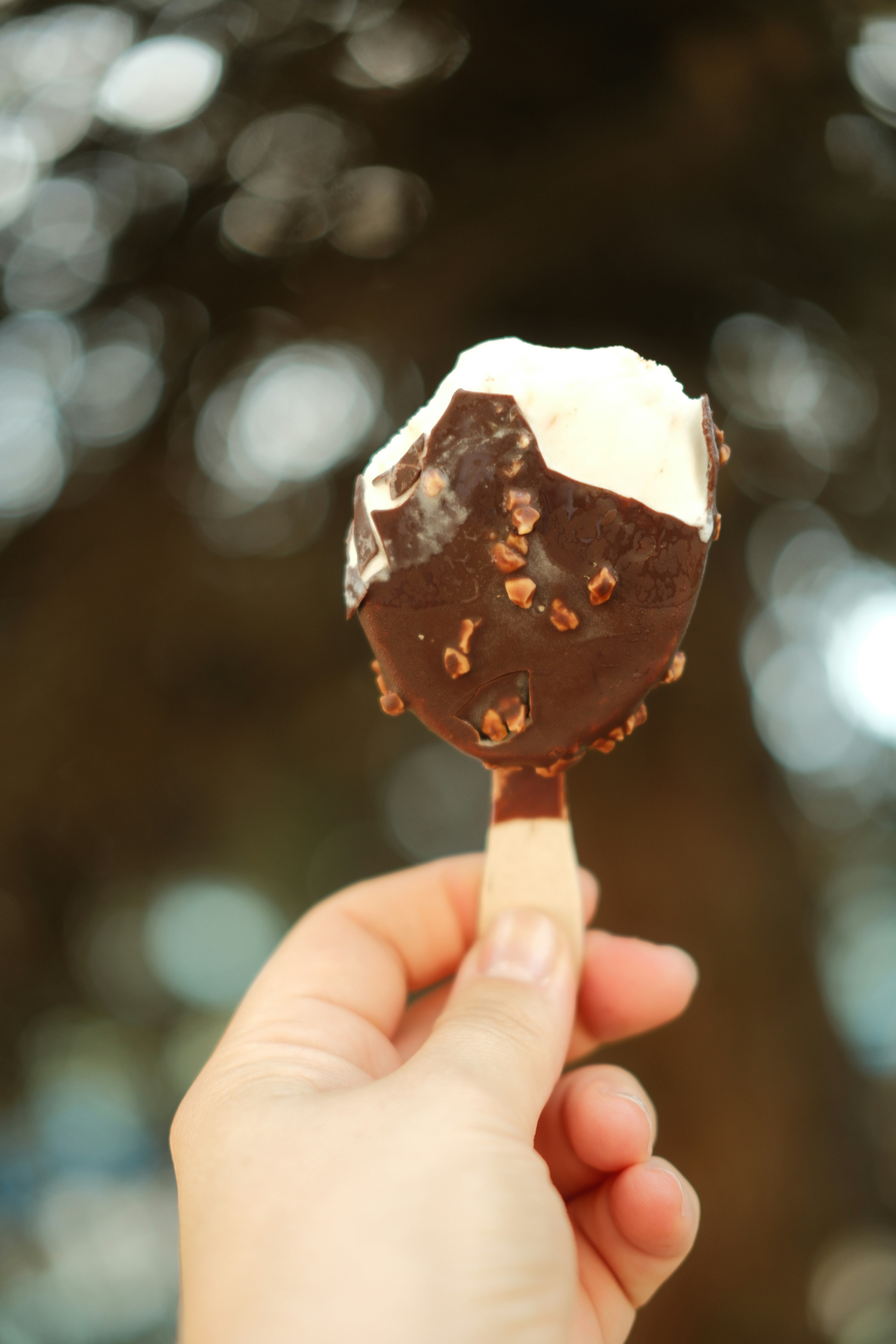 A hand holding a chocolate-covered vanilla ice cream bar with nuts on a stick