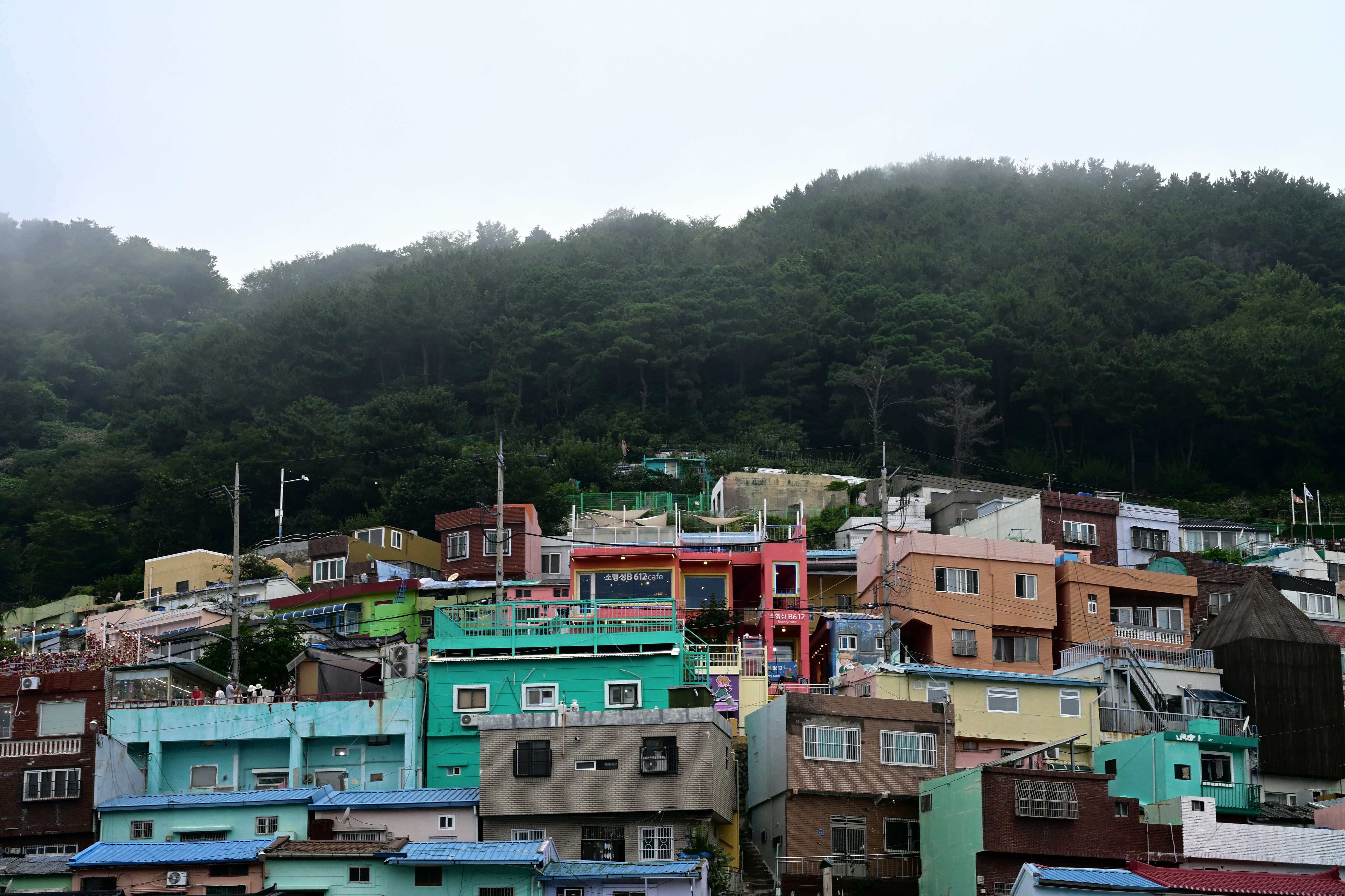 태백시청 여권사진 6개월 이 핵심 키워드 중심의 블로그 헤더 이미지 - 내용 요약을 위한 이미지