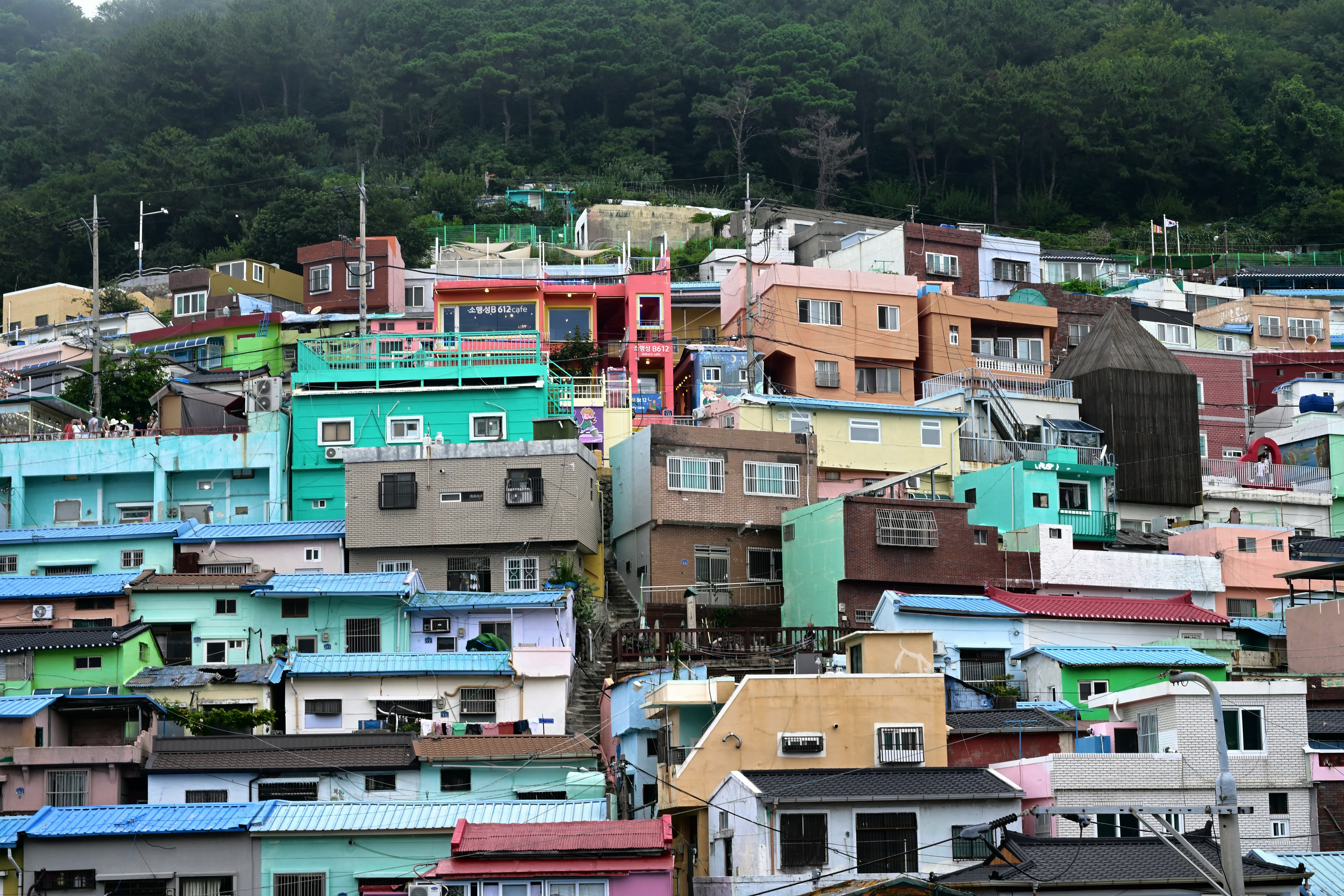 멕시코 타코 길거리 vs 레 꼼꼼하게 정리된 심플 타이포그래피 표지