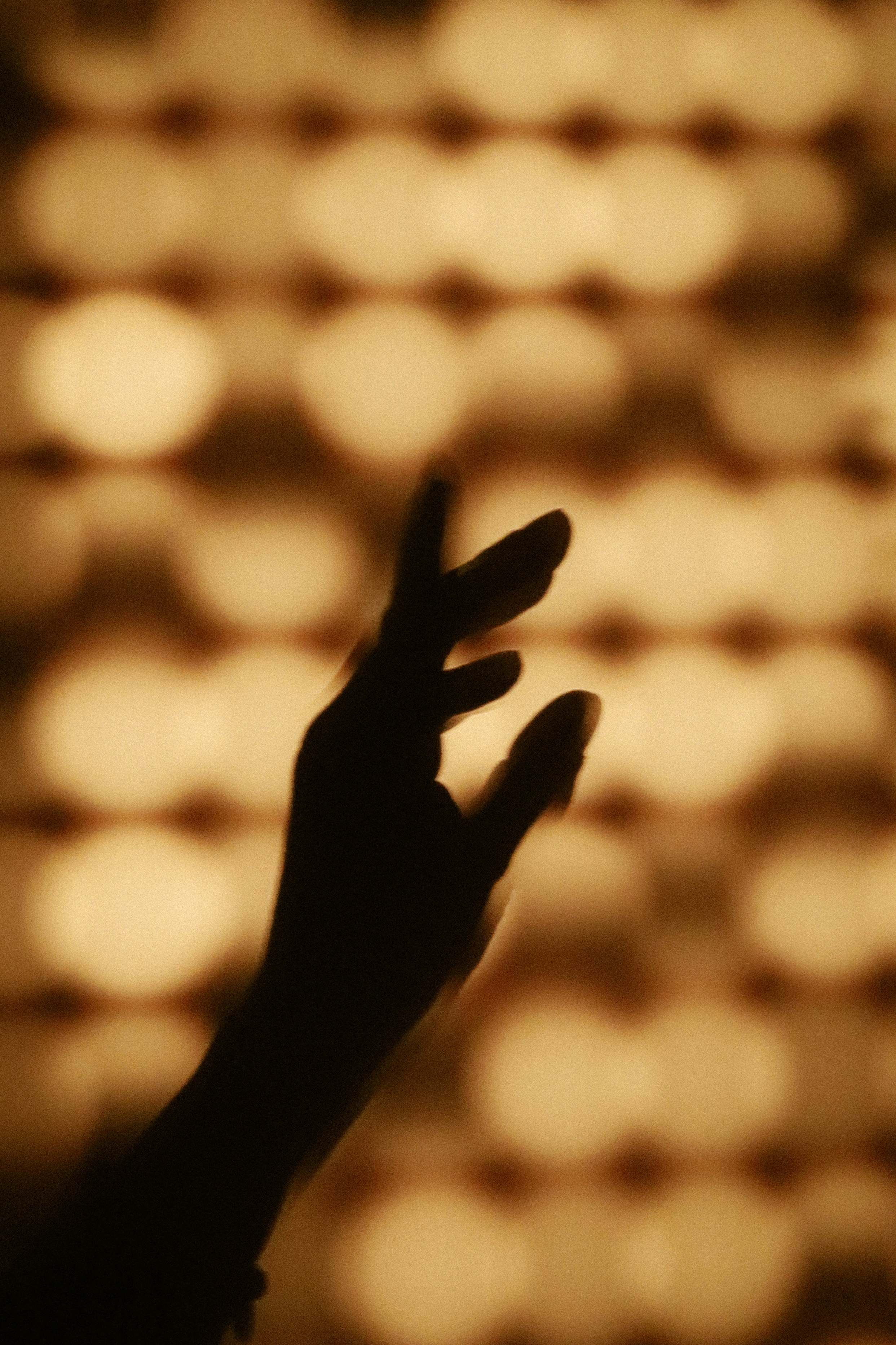 A hand in silhouette against a background of warm golden bokeh lights.