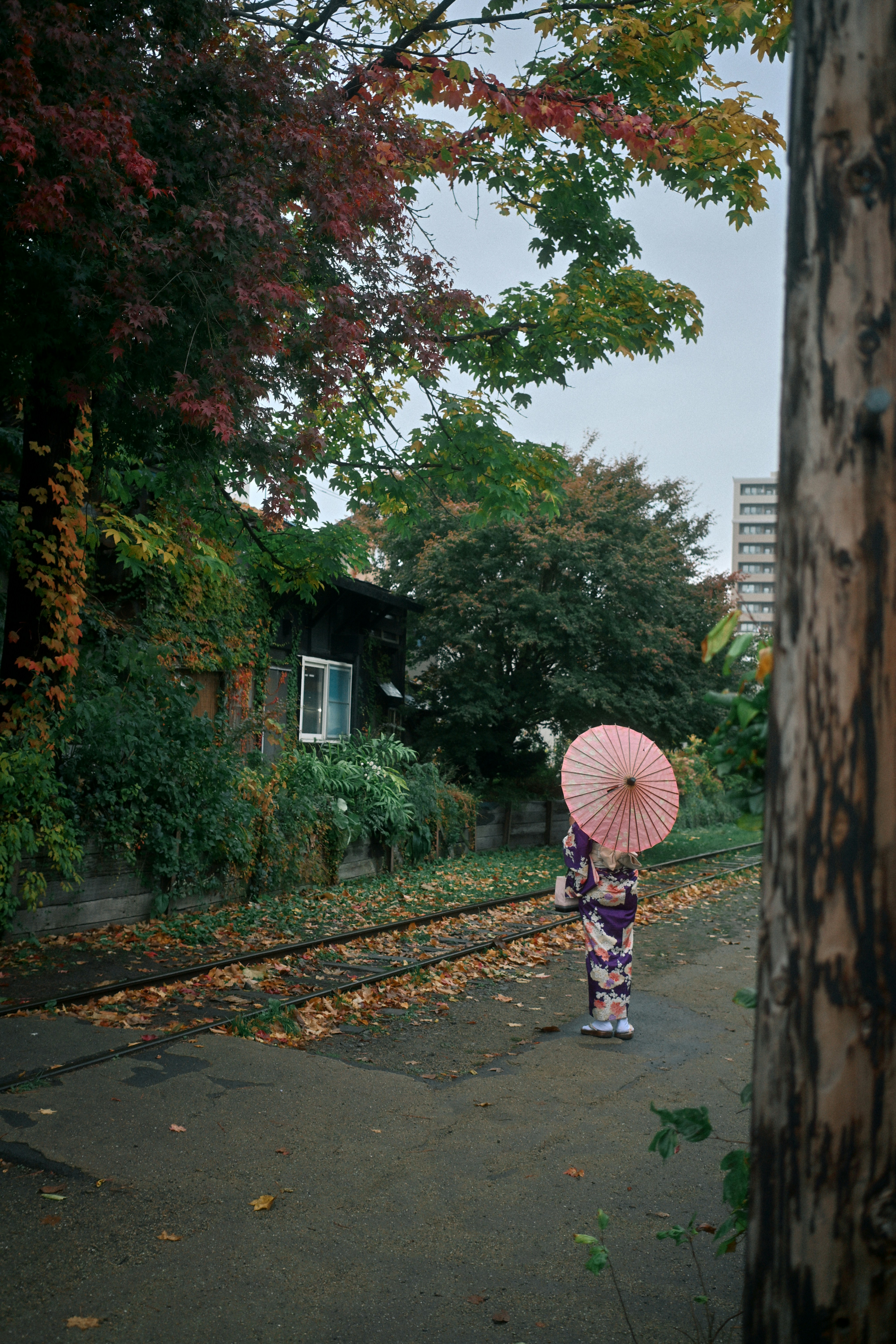 A person in a floral kimono holding a pink umbrella on old train tracks.