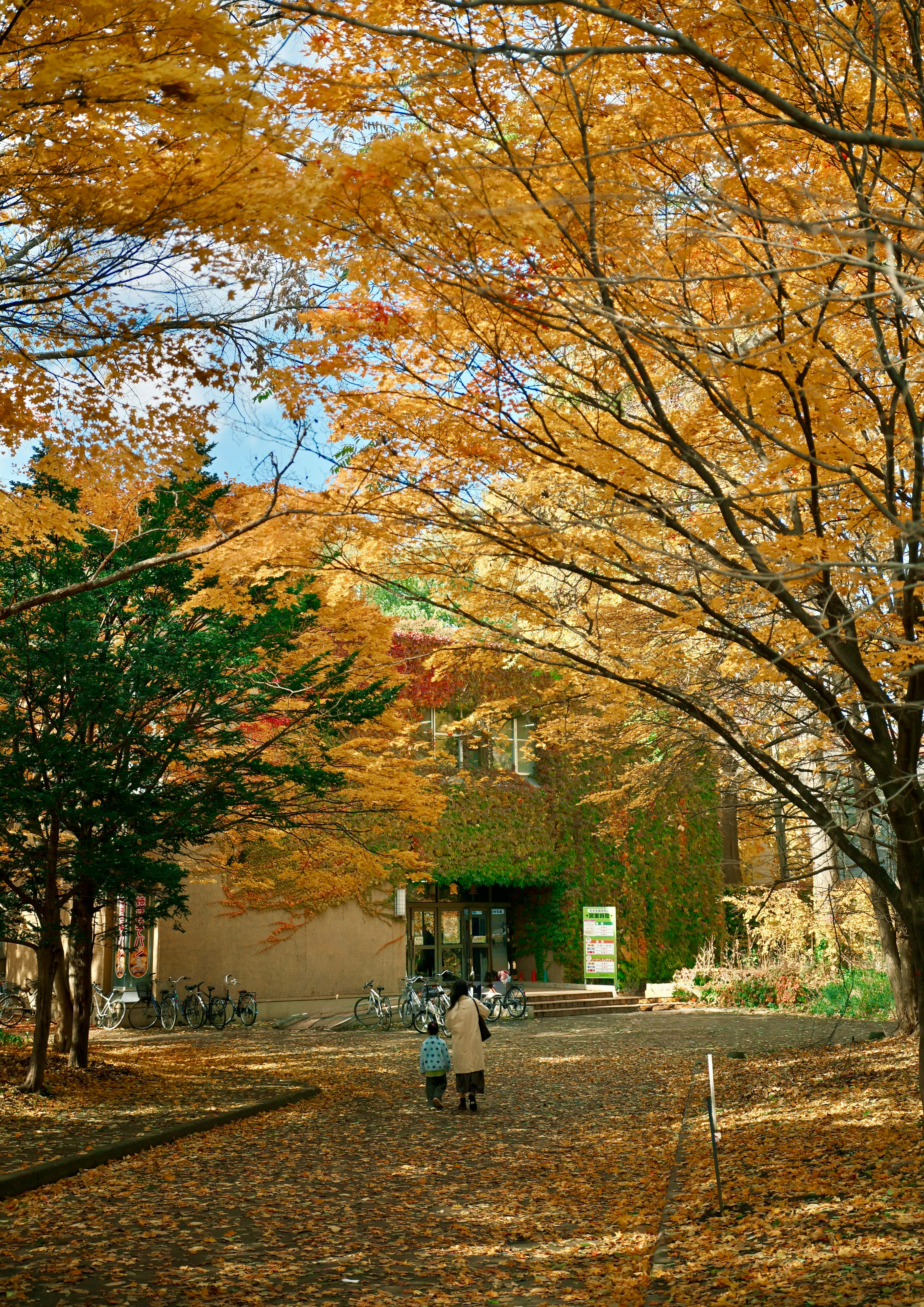 An adult and a child walking on a path covered in fallen autumn leaves.