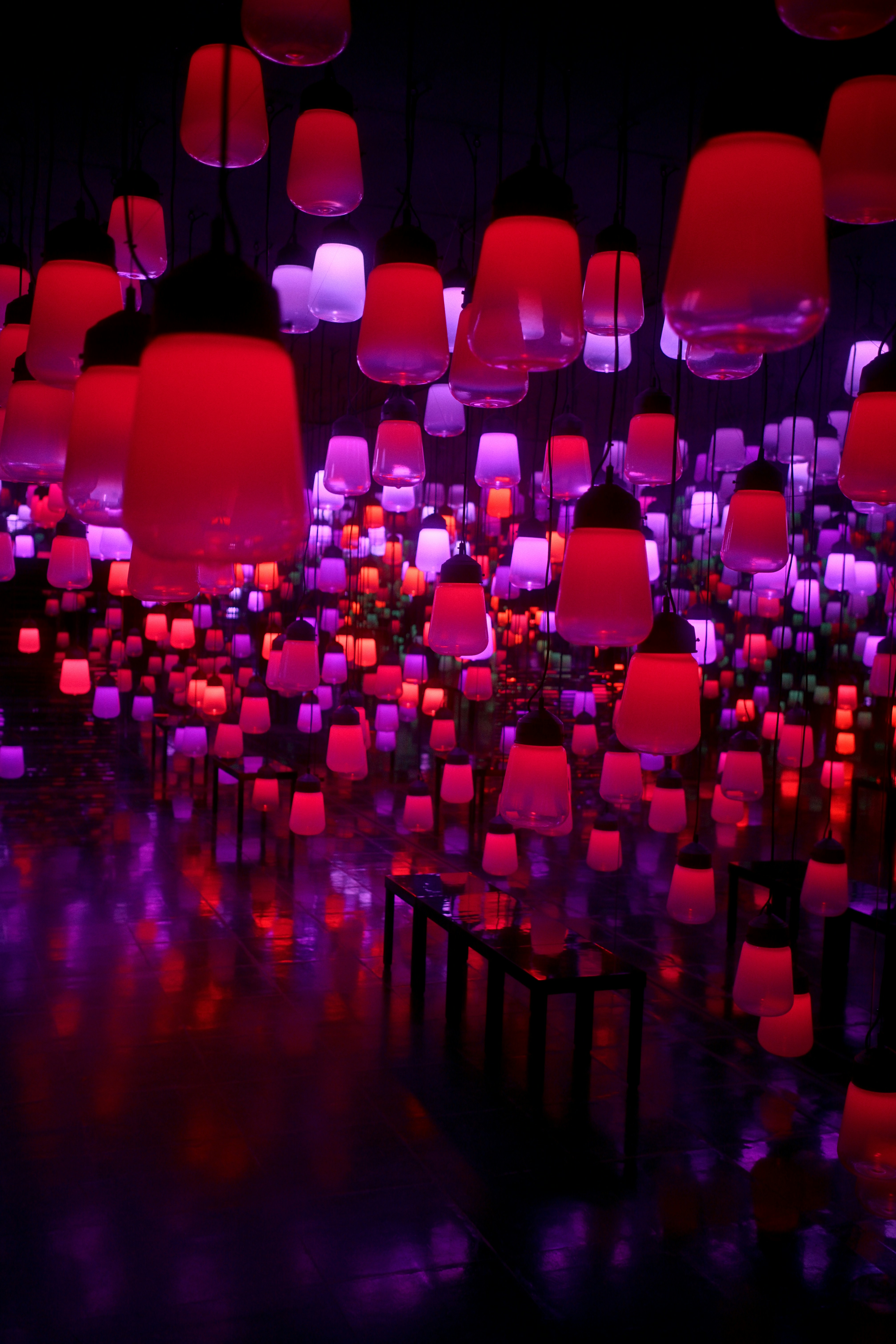 Many glowing red and purple pendant lights hanging in a dark room.