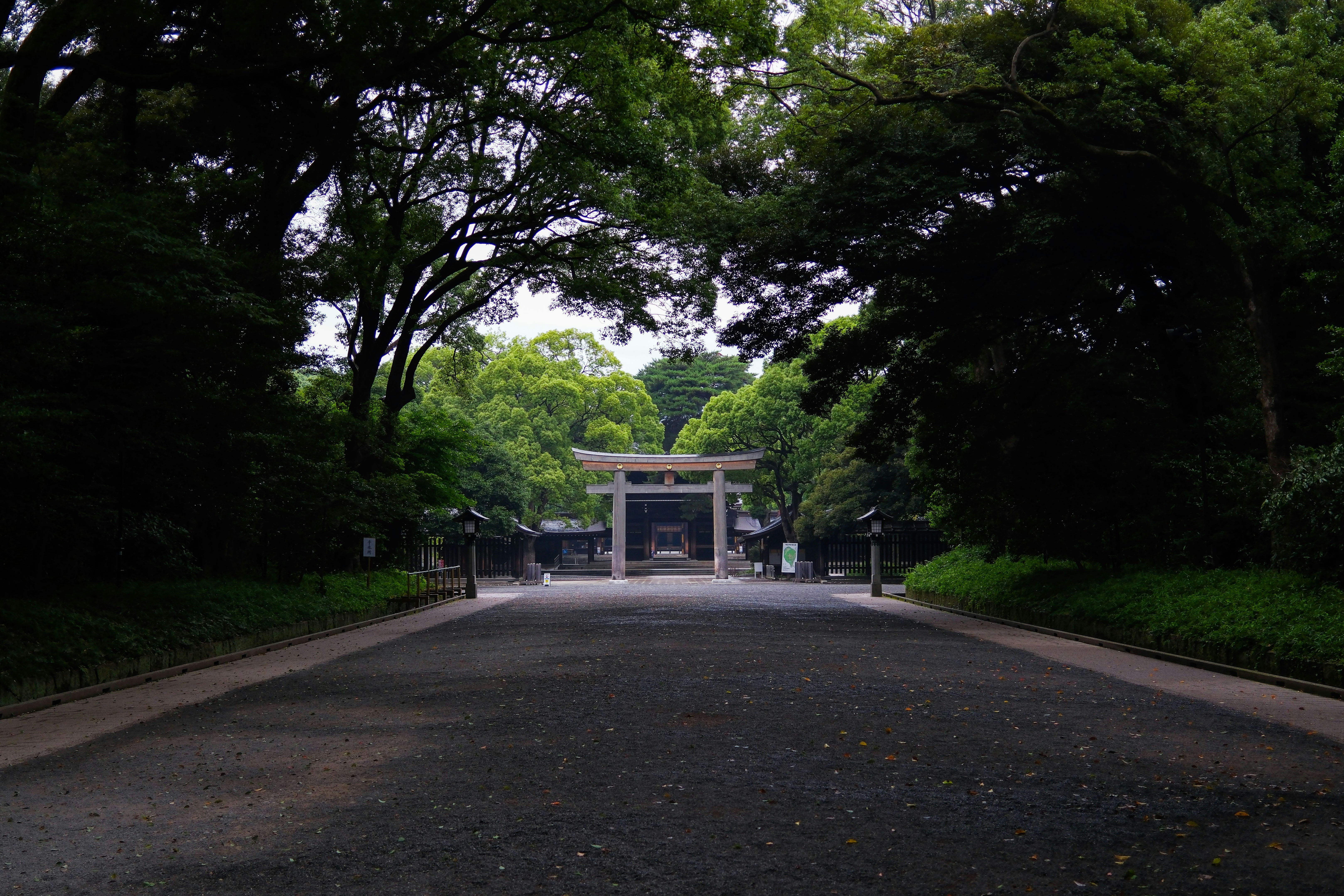 A wooden torii gate at the end of a gravel path in Meiji Jingu, Tokyo