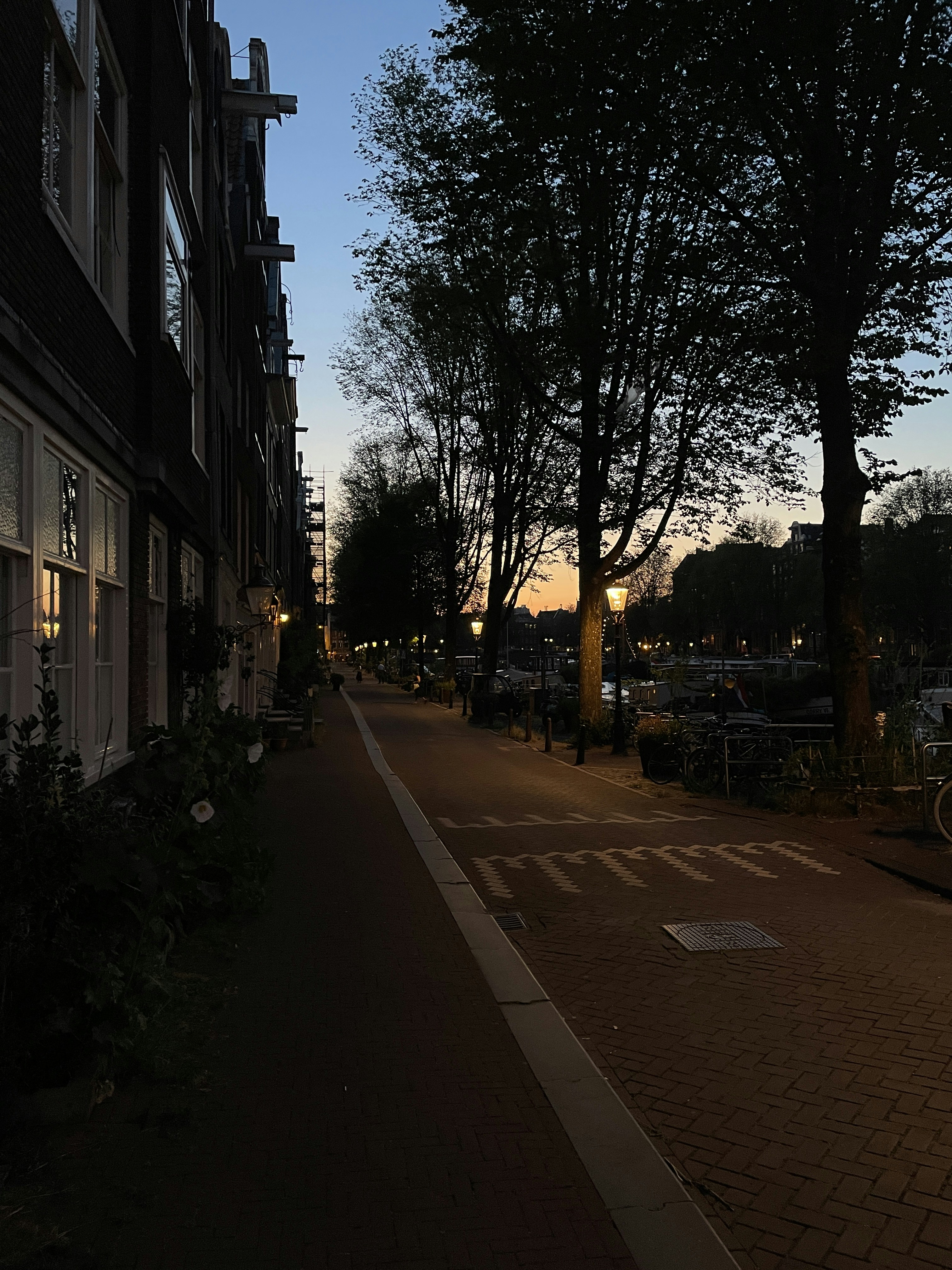 A brick canal path in Amsterdam lined with tall trees and historic buildings
