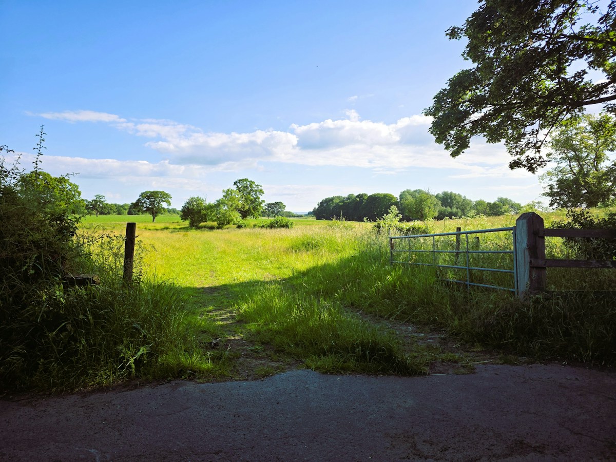photo by Cristofer Sewell (@jackdawposts) on unsplash