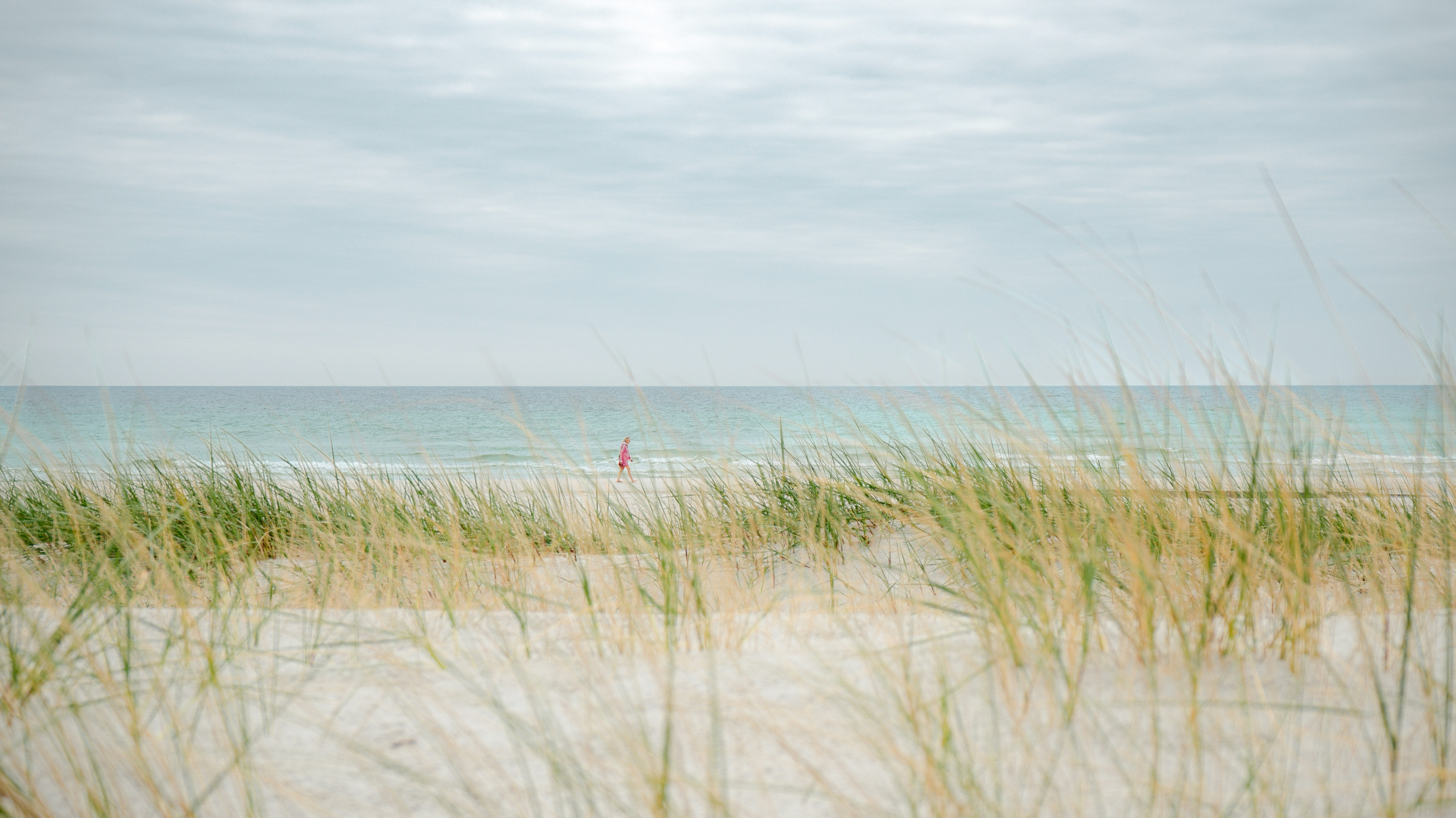 A person in a pink jacket walking along a sandy beach with dune grass.