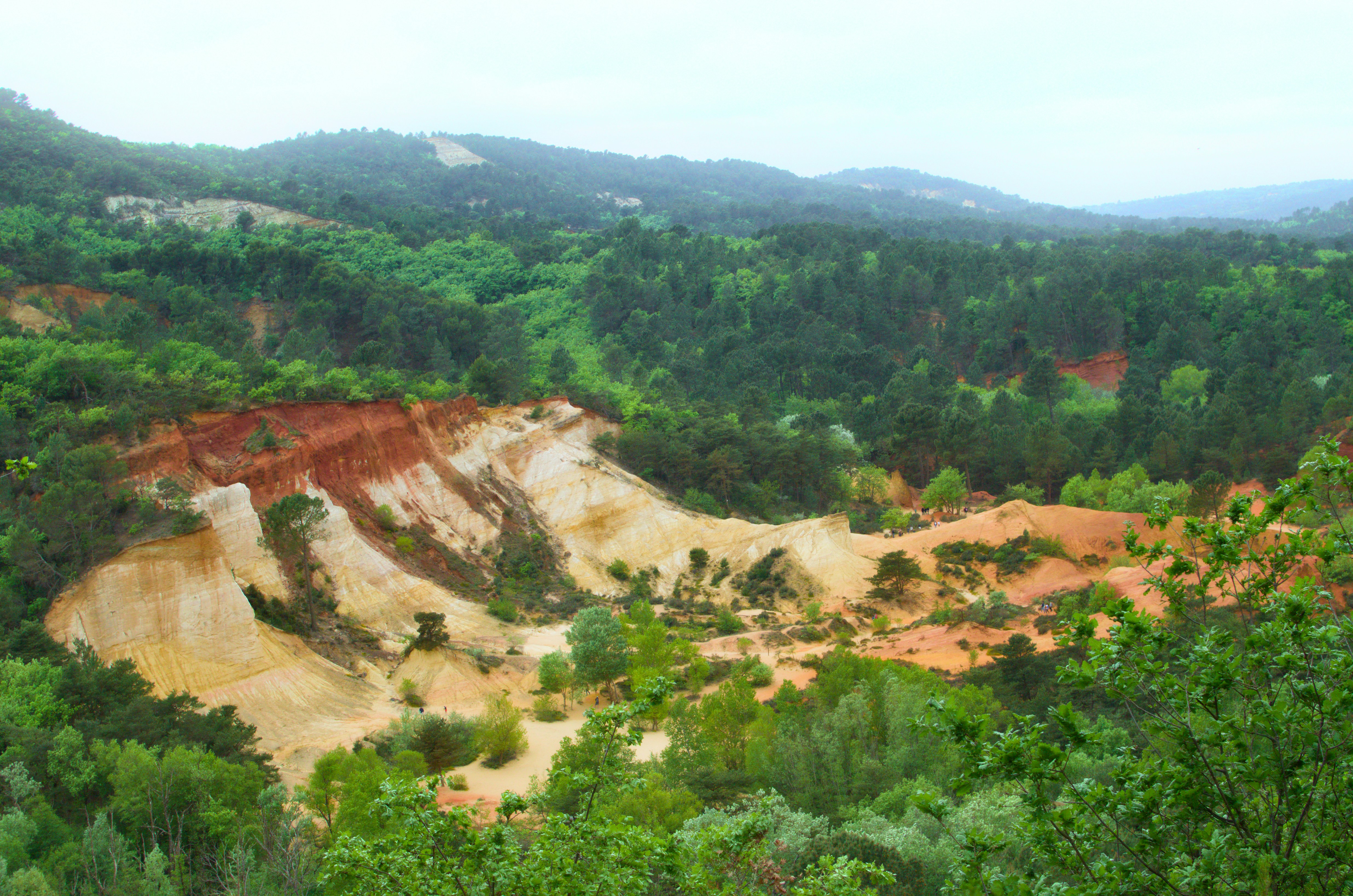 Red and yellow ochre cliffs rising above a dense green forest in Roussillon