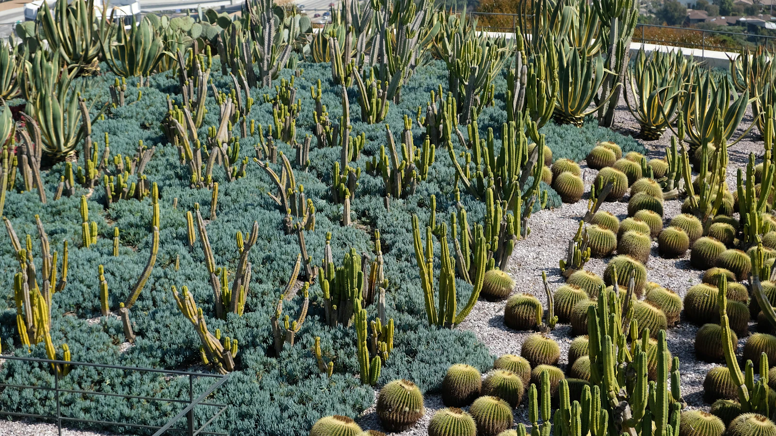 Home Exterior and Garden Renovation: Desert Landscaping That Saves Water