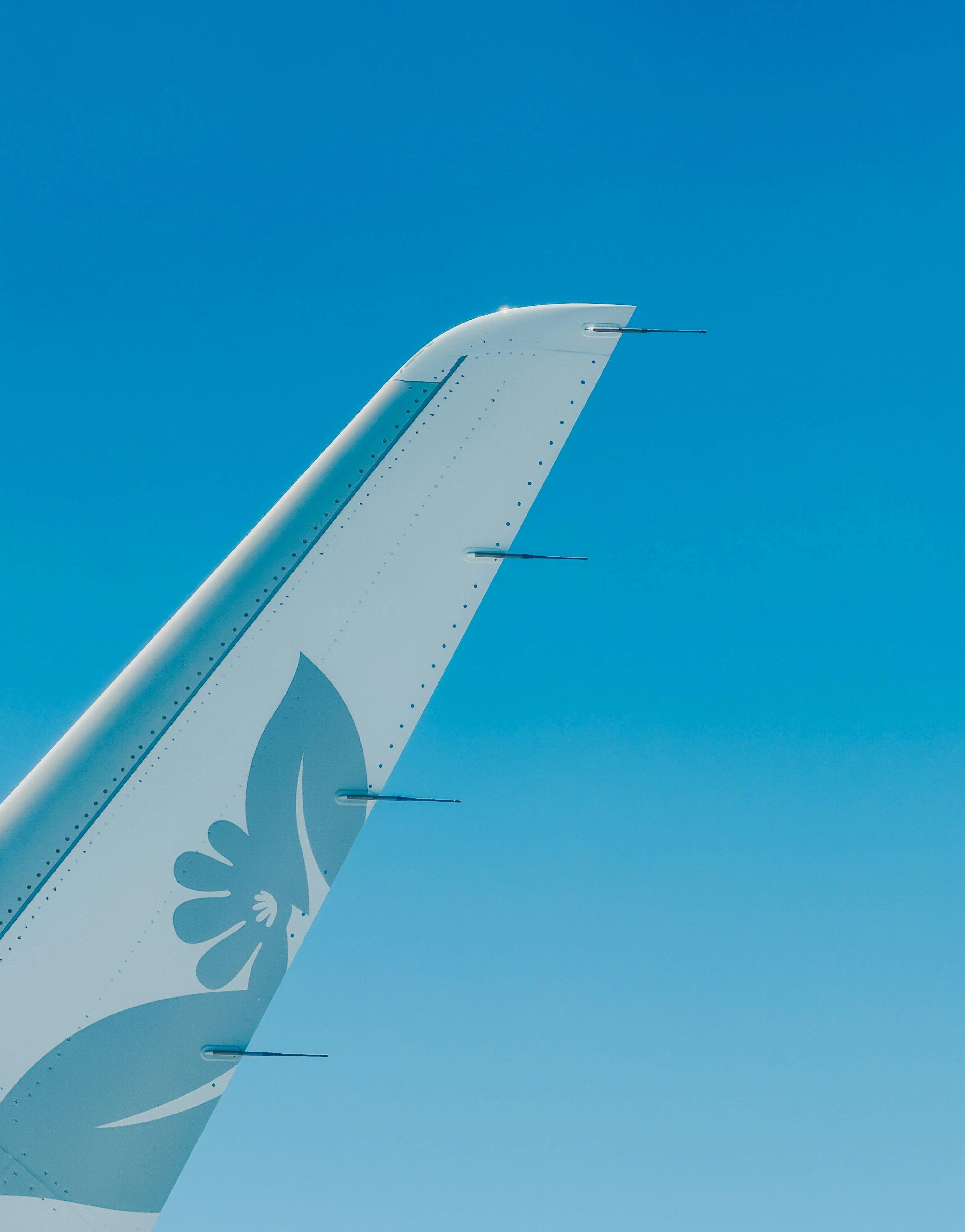 澄んだ青空を背景にした白い飛行機のウィングレット