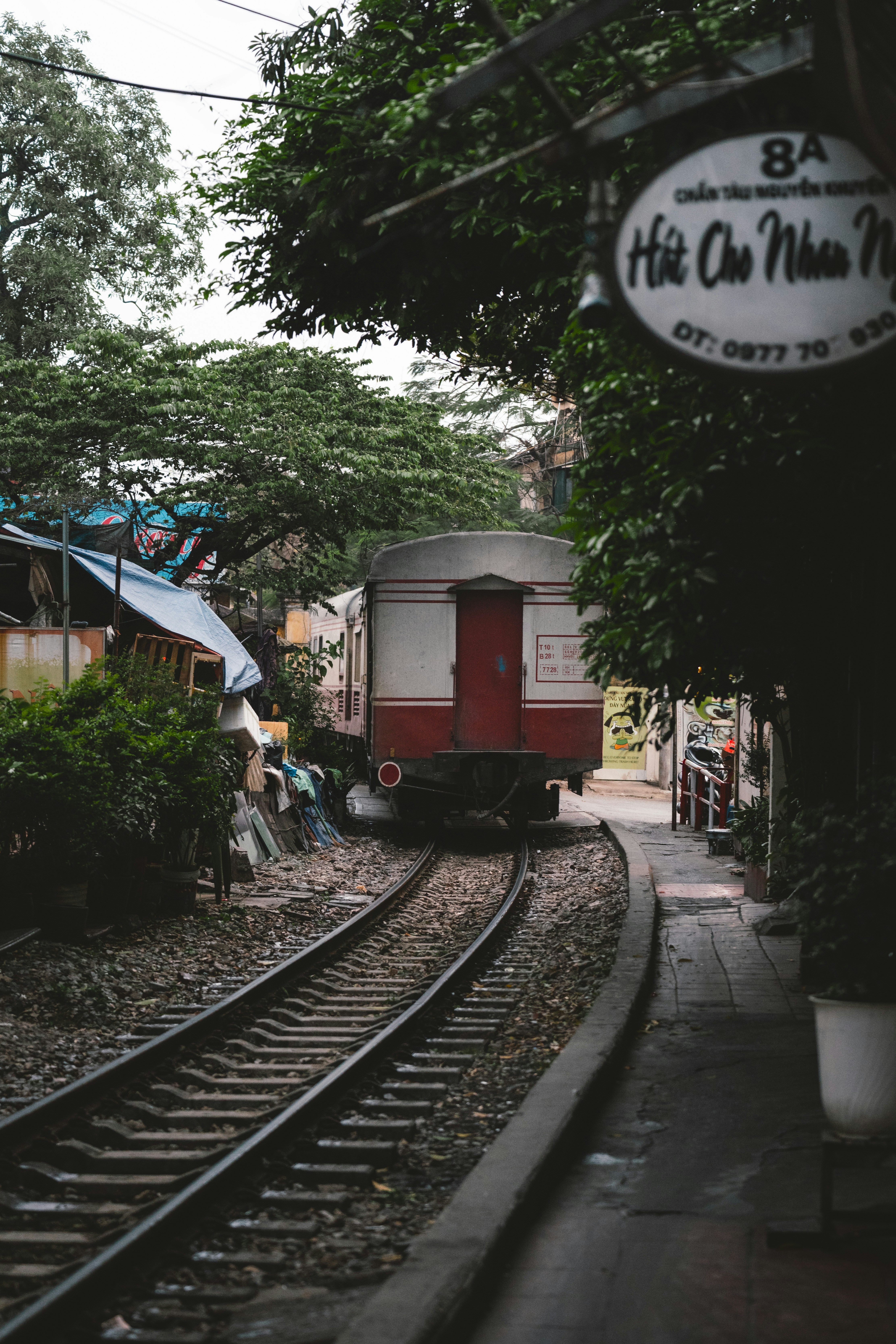 District 3 – Tree-Lined Streets and a Local Pace