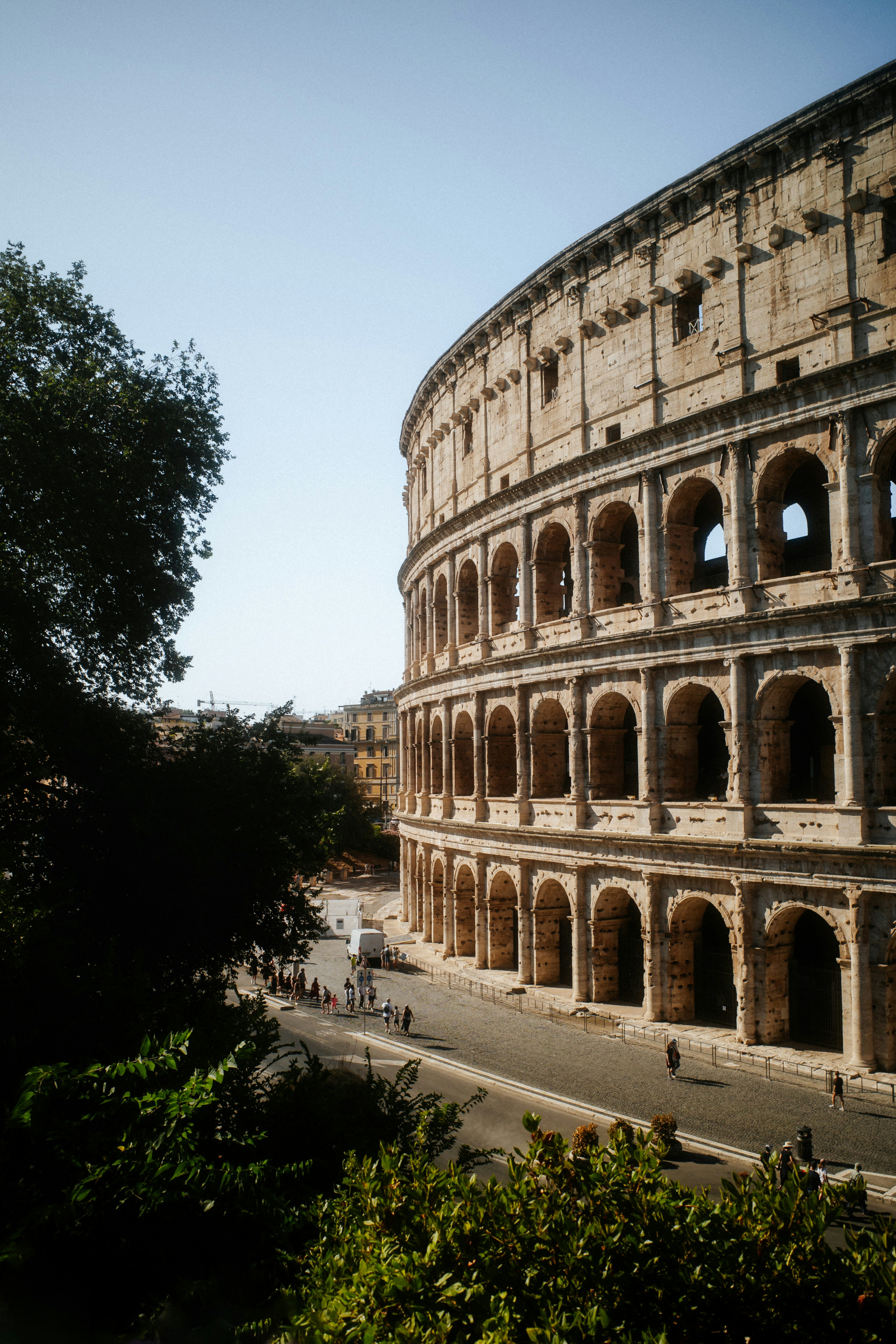 The Colosseum in Rome under a clear sky framed by green foliage.
