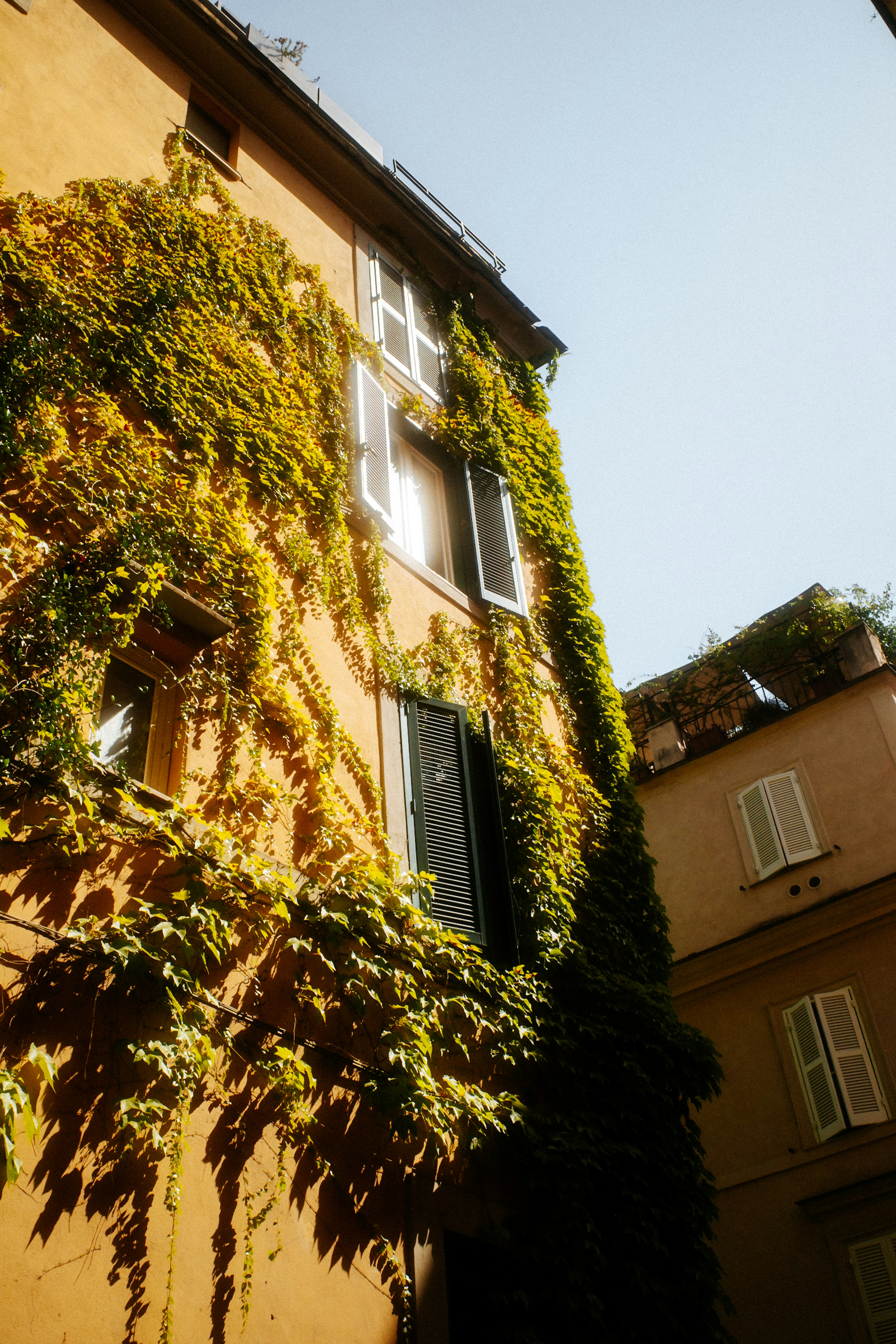 An orange building facade covered in green ivy with open shutters.