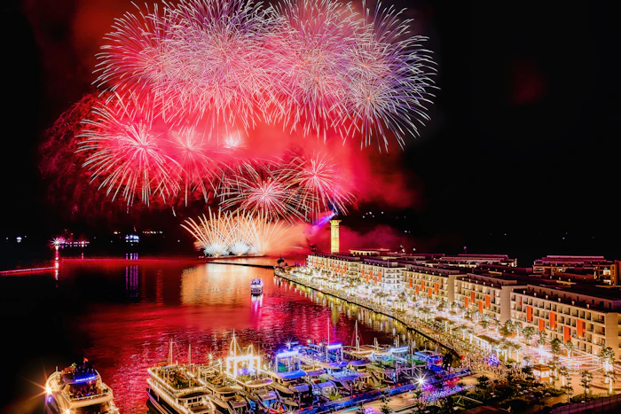 Fireworks over a harbor