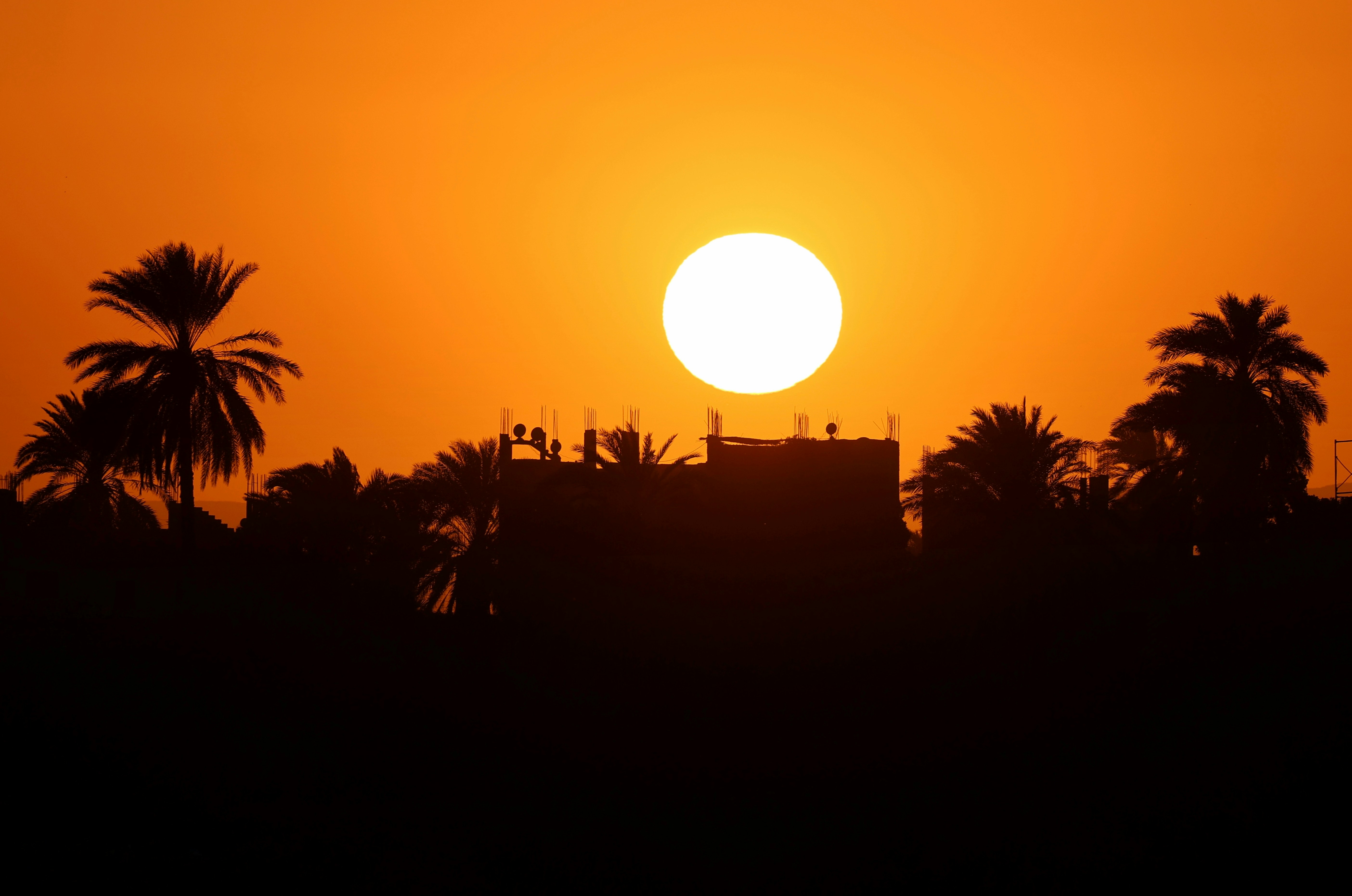 A large low sun behind palm trees and a building silhouette in orange light.