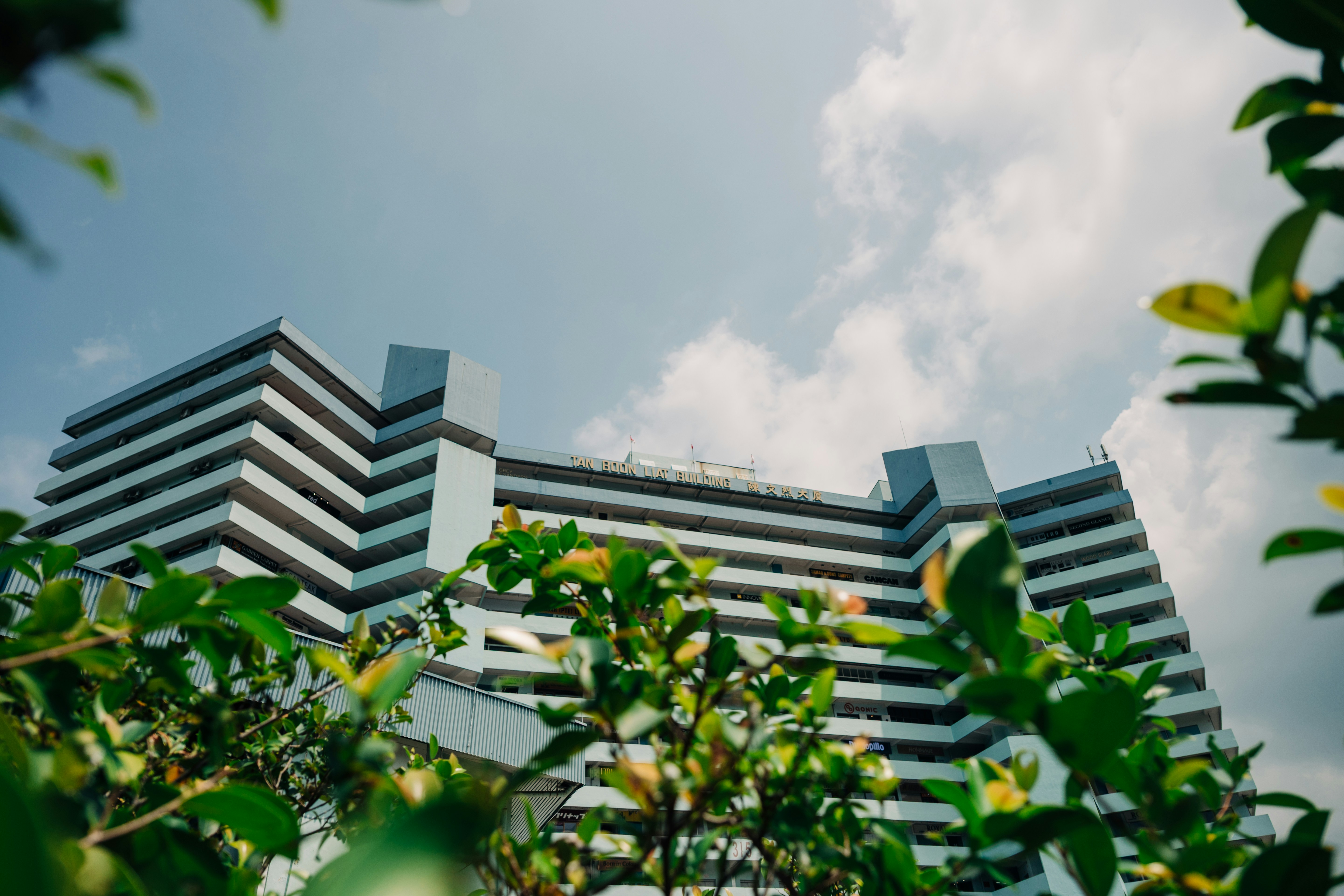 The Tan Boon Liat Building viewed from below through green foliage against a blue sky