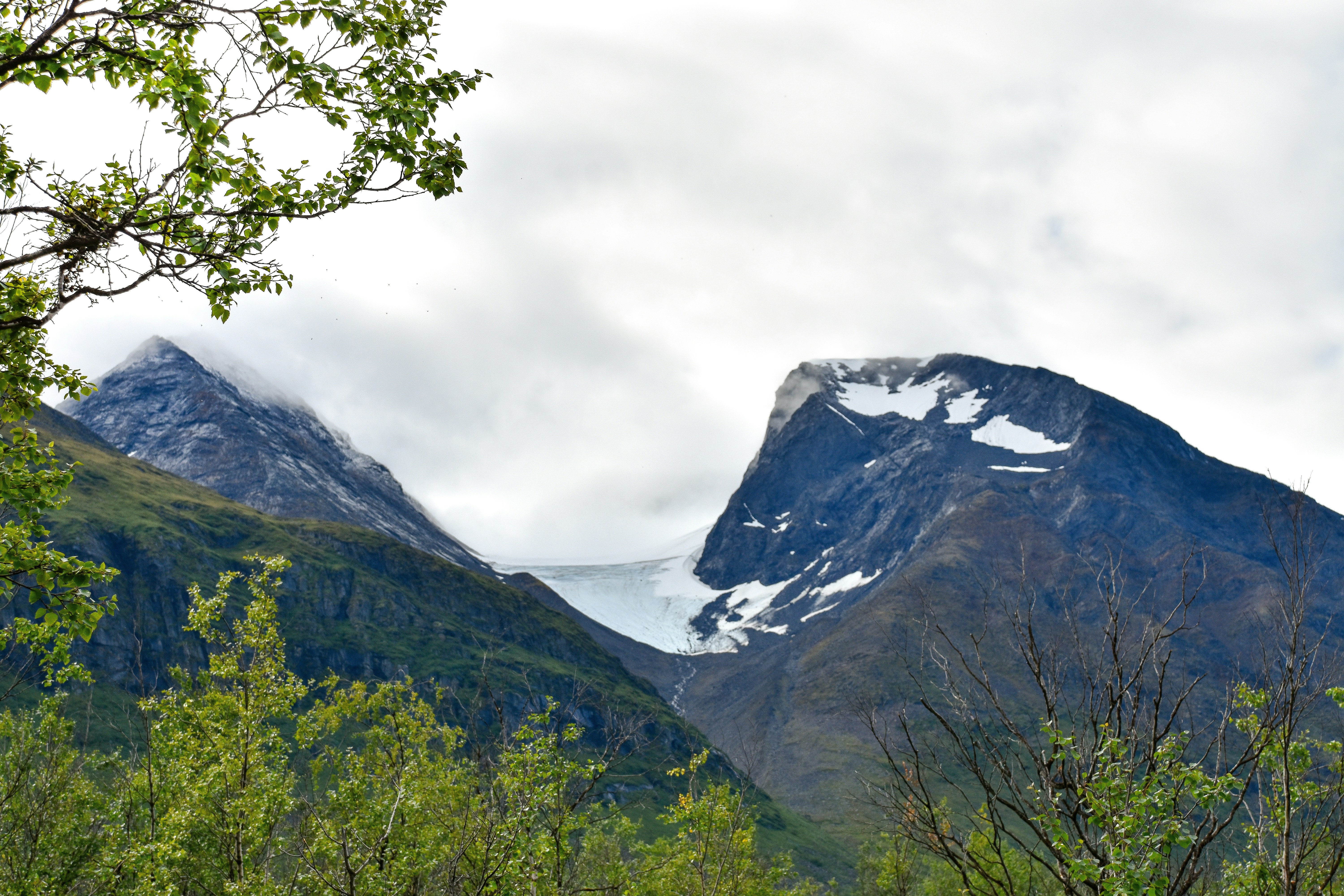 Snow-capped mountain peaks with a glacier between them above green trees