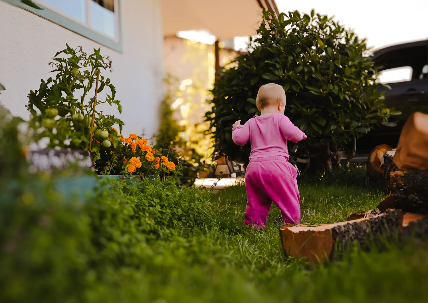 A baby in a floral romper walking on grass towards a flowerbed