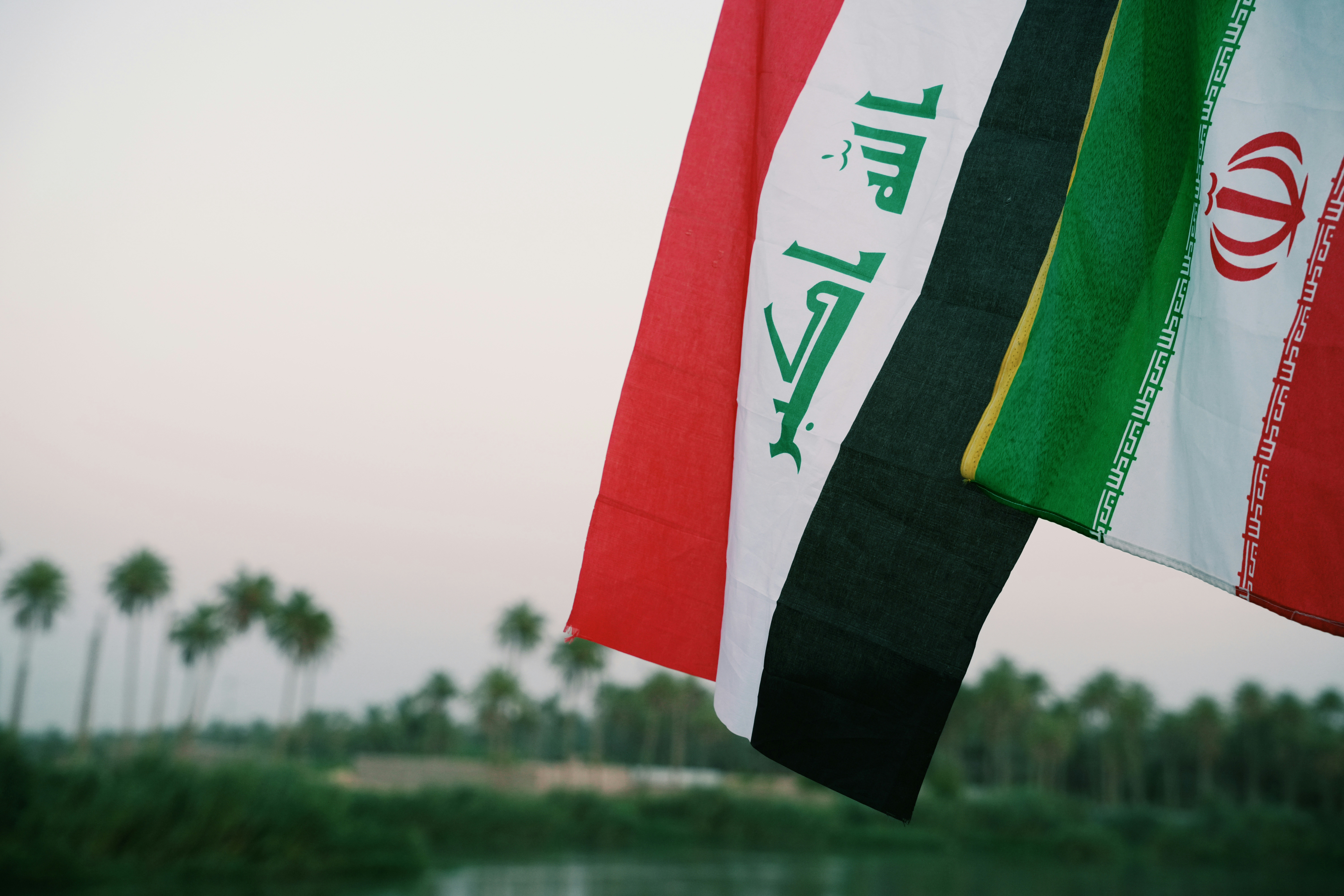 The flags of Iraq and Iran hanging against a backdrop of palm trees