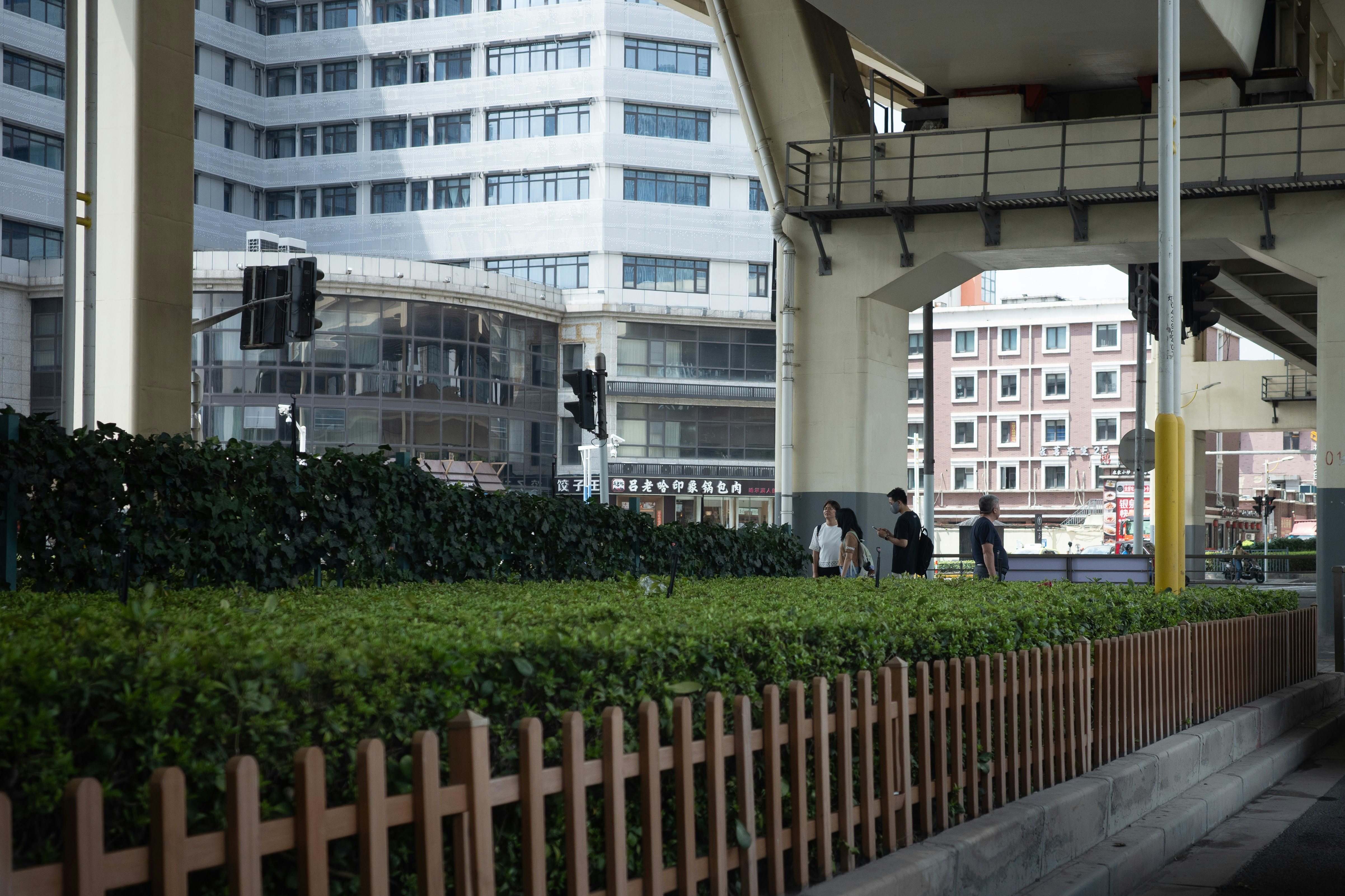People walking on a sidewalk beneath a concrete overpass near a green hedge.
