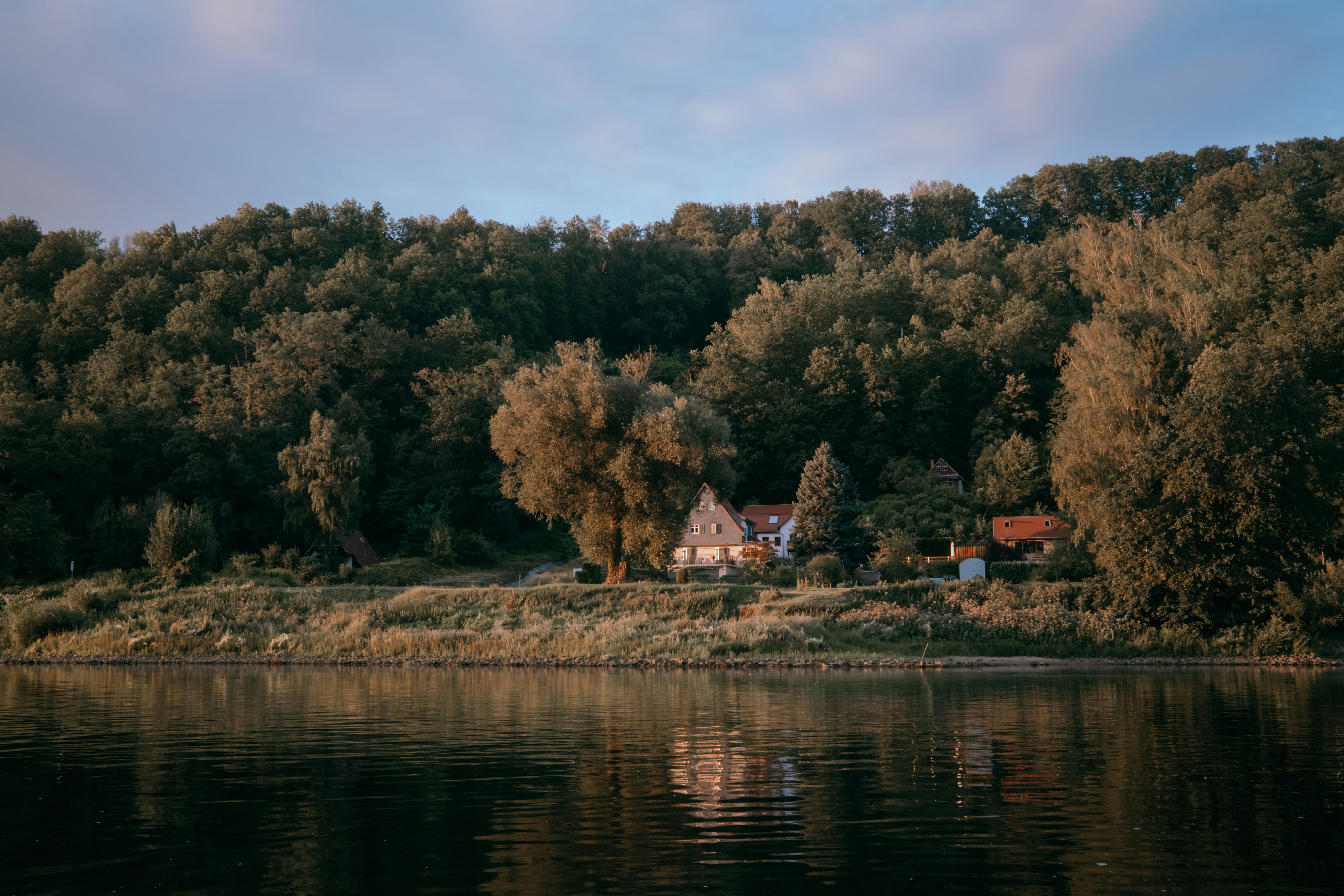 Houses nestled in a dense forest along the riverbank in Sebnitz, Germany.