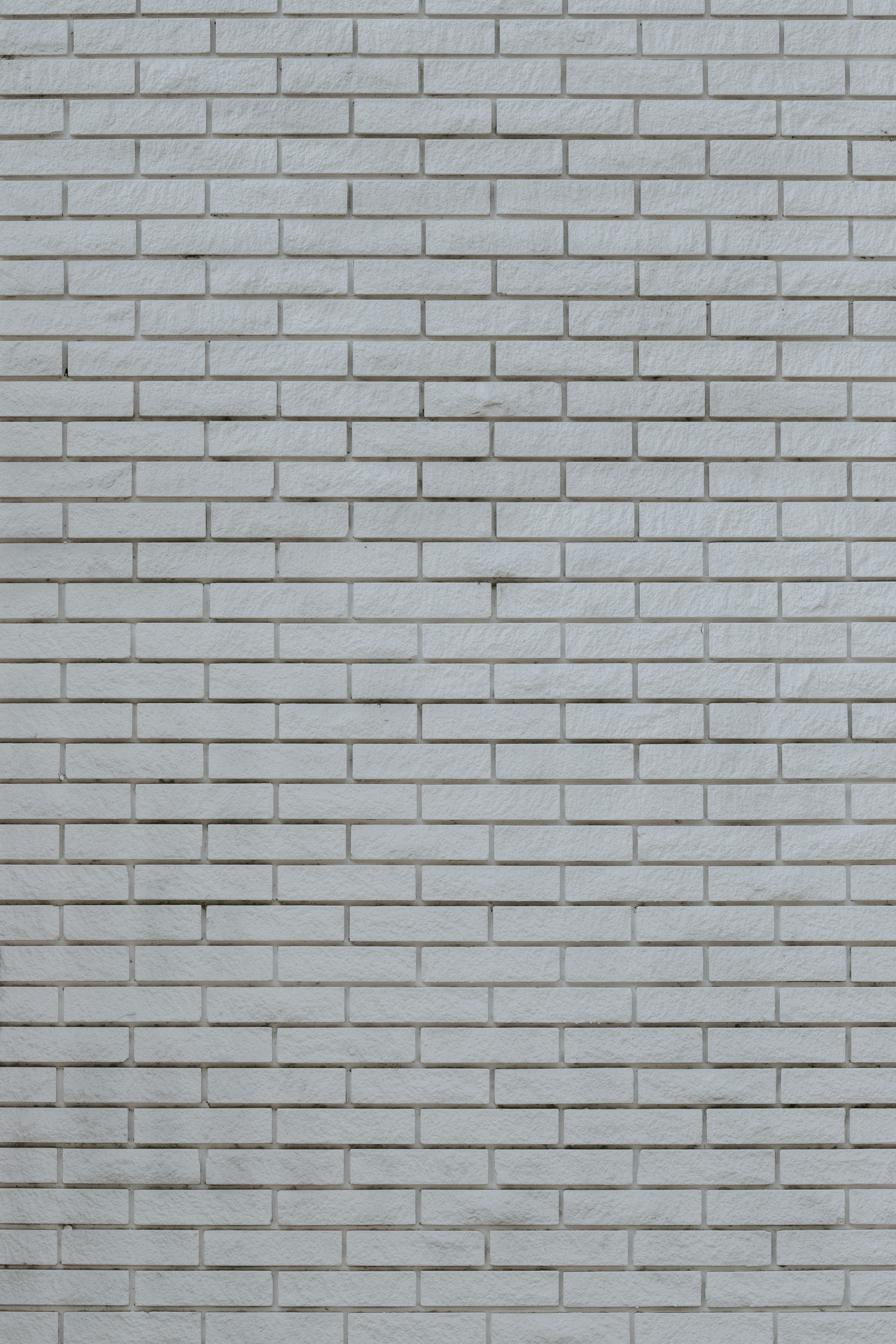 A wall of light grey bricks arranged in a standard running bond pattern.