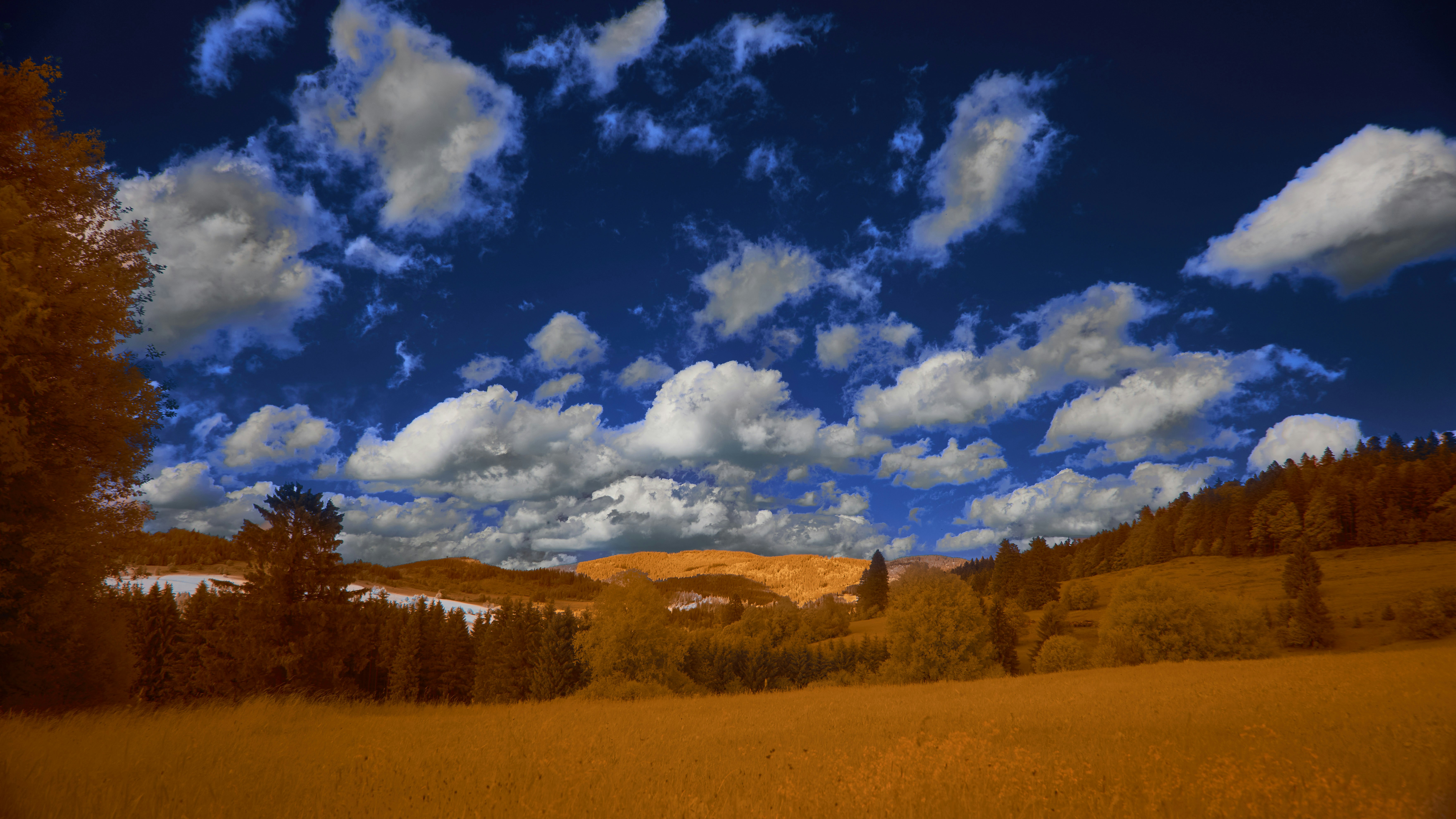 A vibrant landscape with orange foliage under a deep blue sky with white clouds.