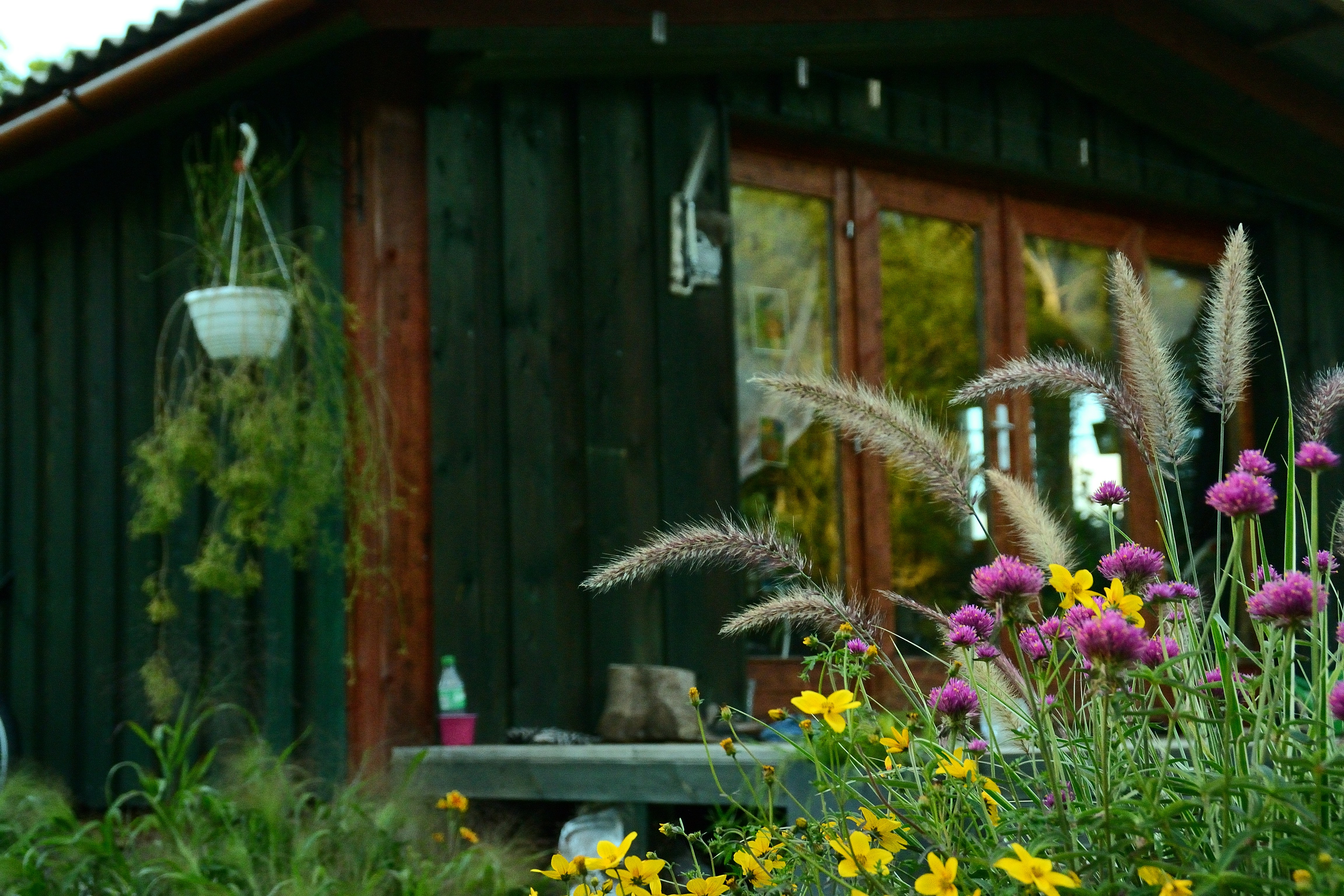 10 Simple Ways to Turn Your Backyard into a Magical Nature Escape