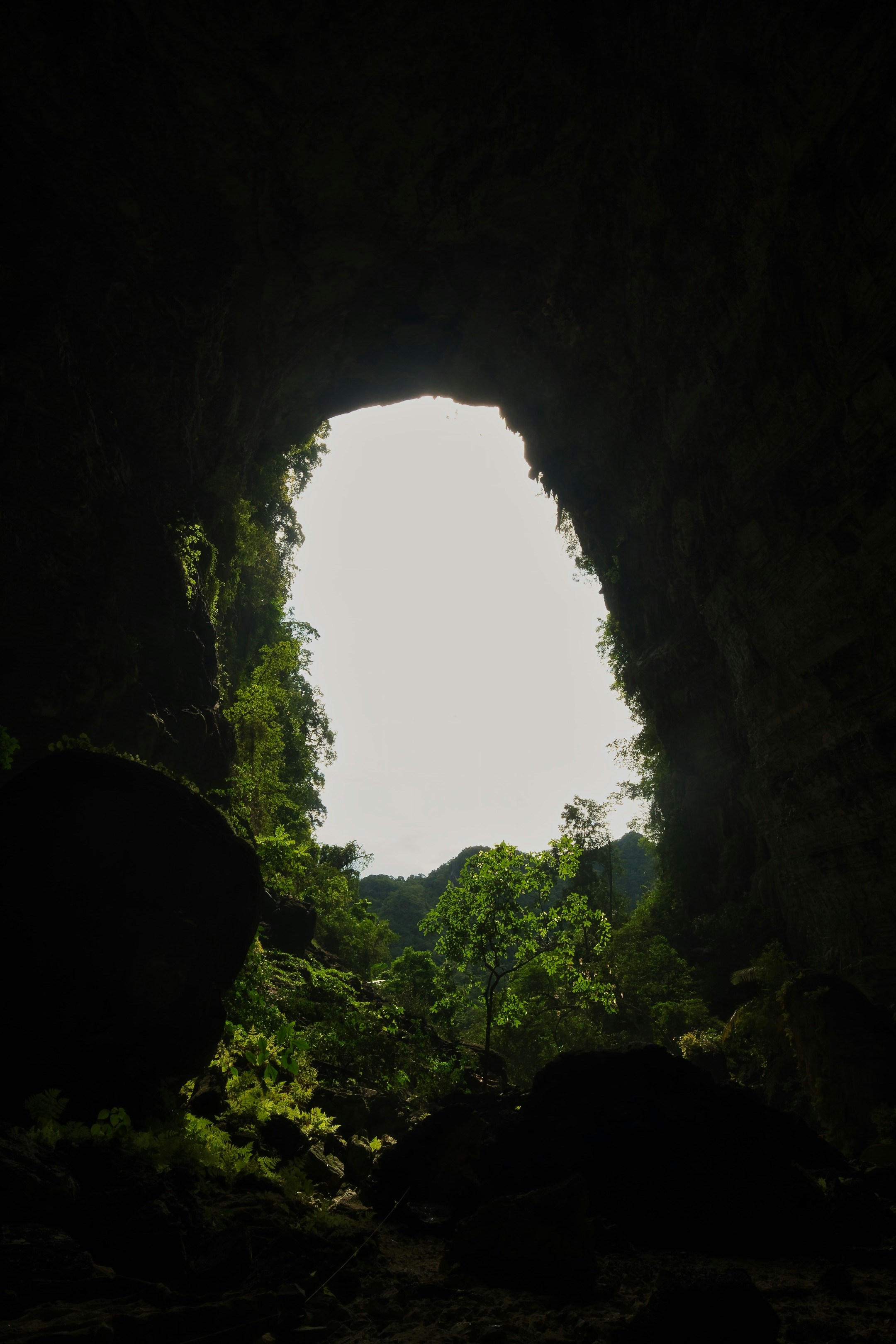 A view from inside a dark cave looking out toward green trees and mountains