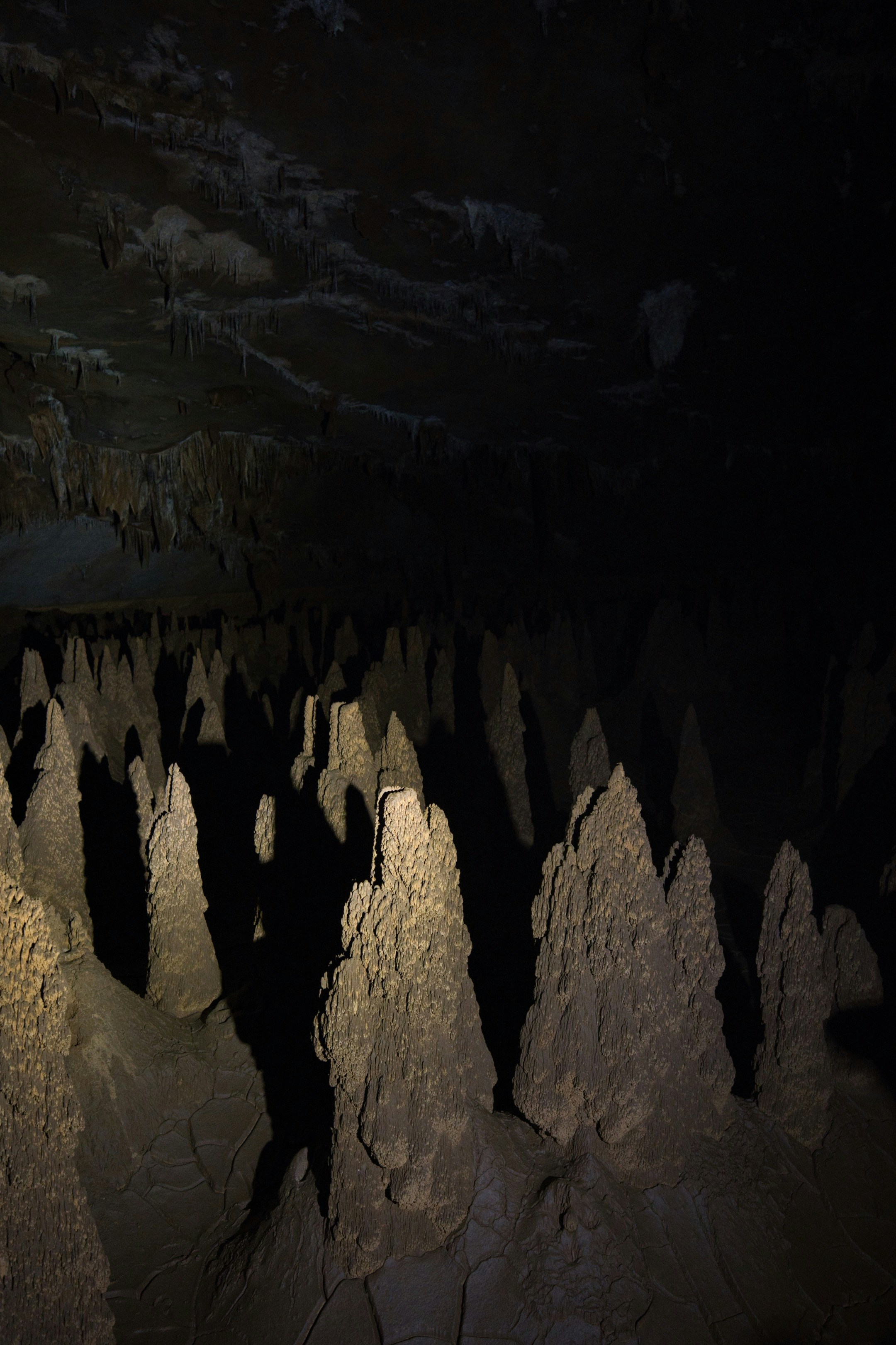 Stalagmites rising from the floor of a dark, cavernous limestone cave