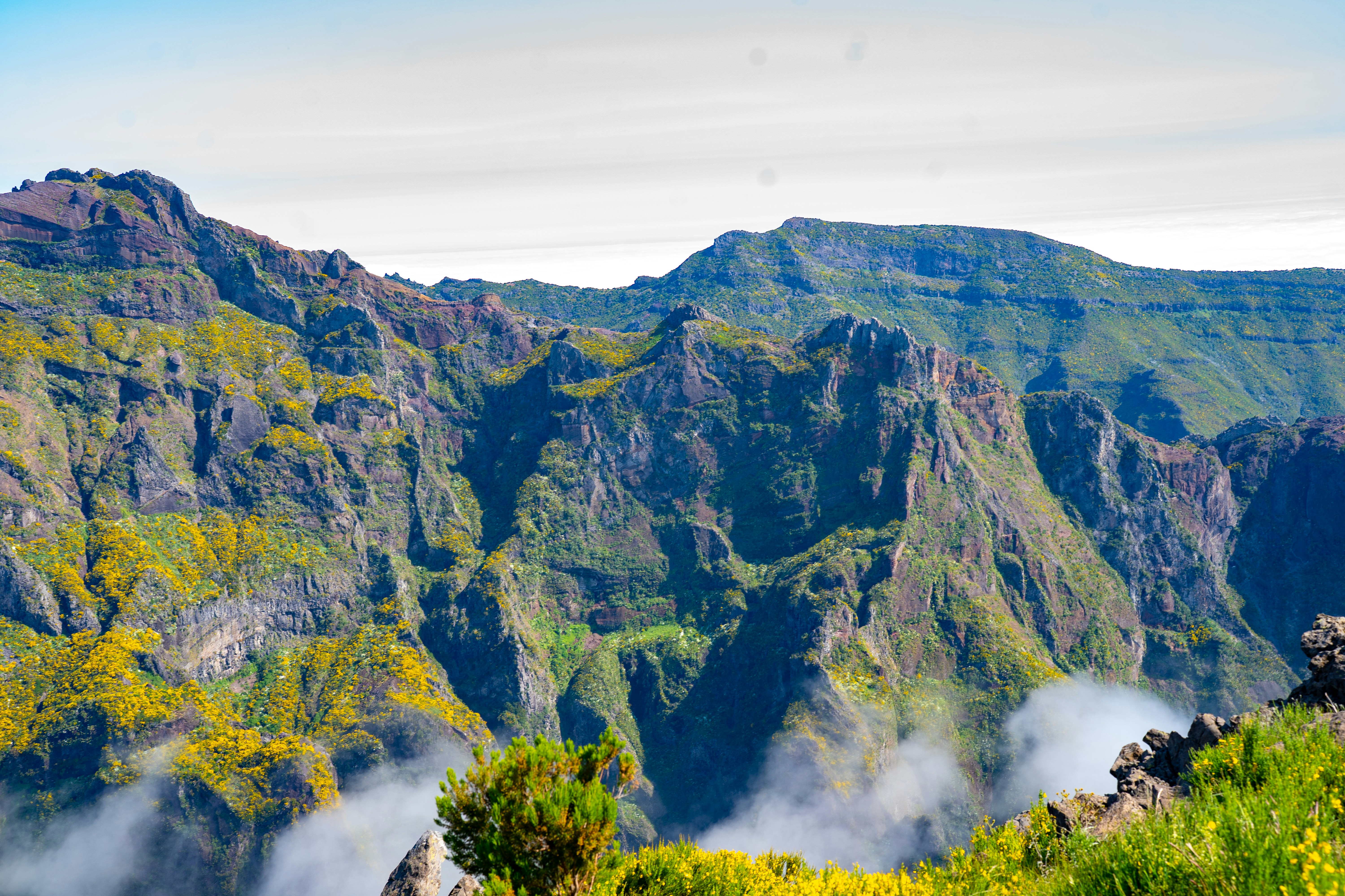 Rugged mountain peaks covered in green vegetation and yellow flowers above low clouds.