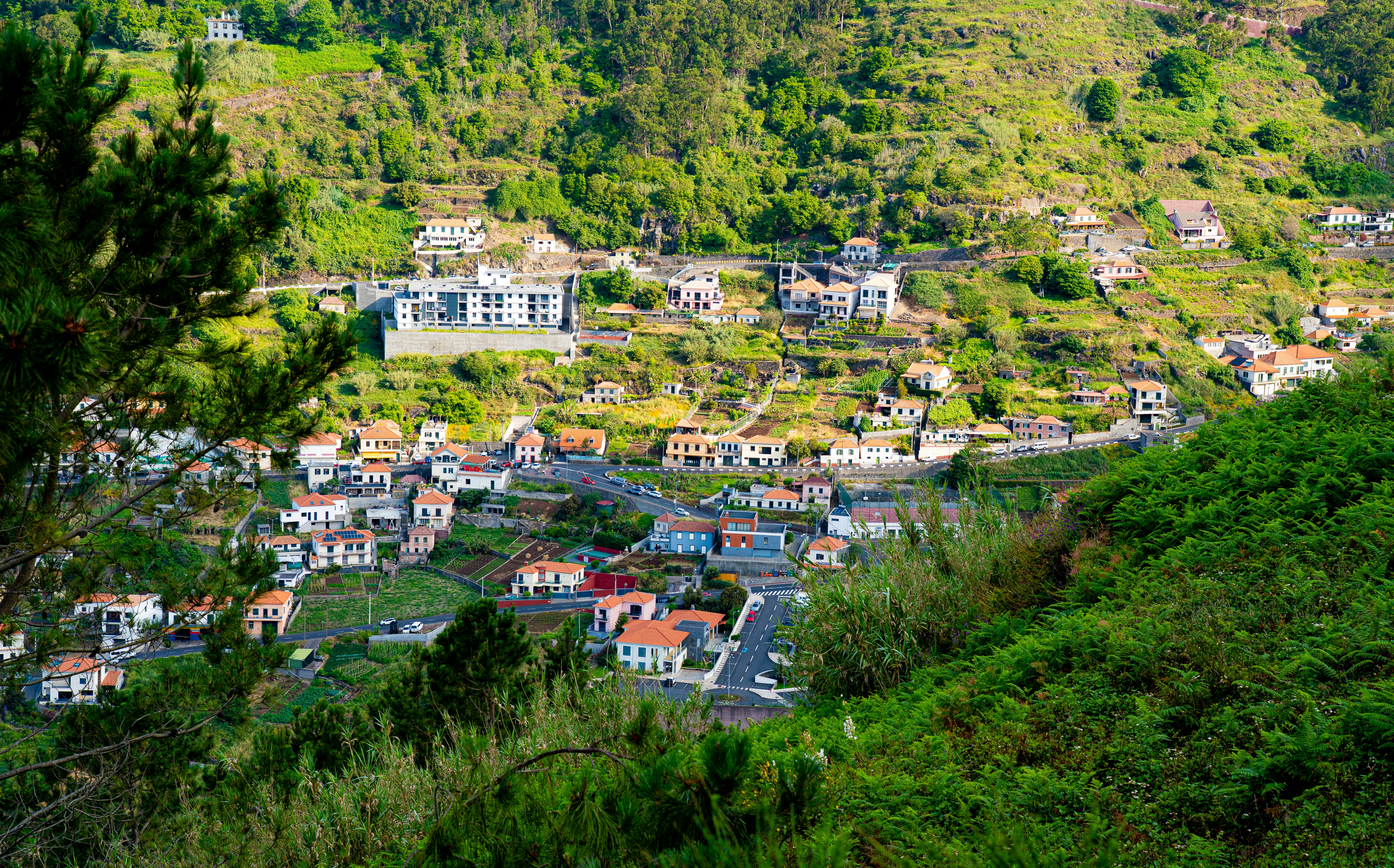 A village with white houses nestled in a lush green mountain valley.