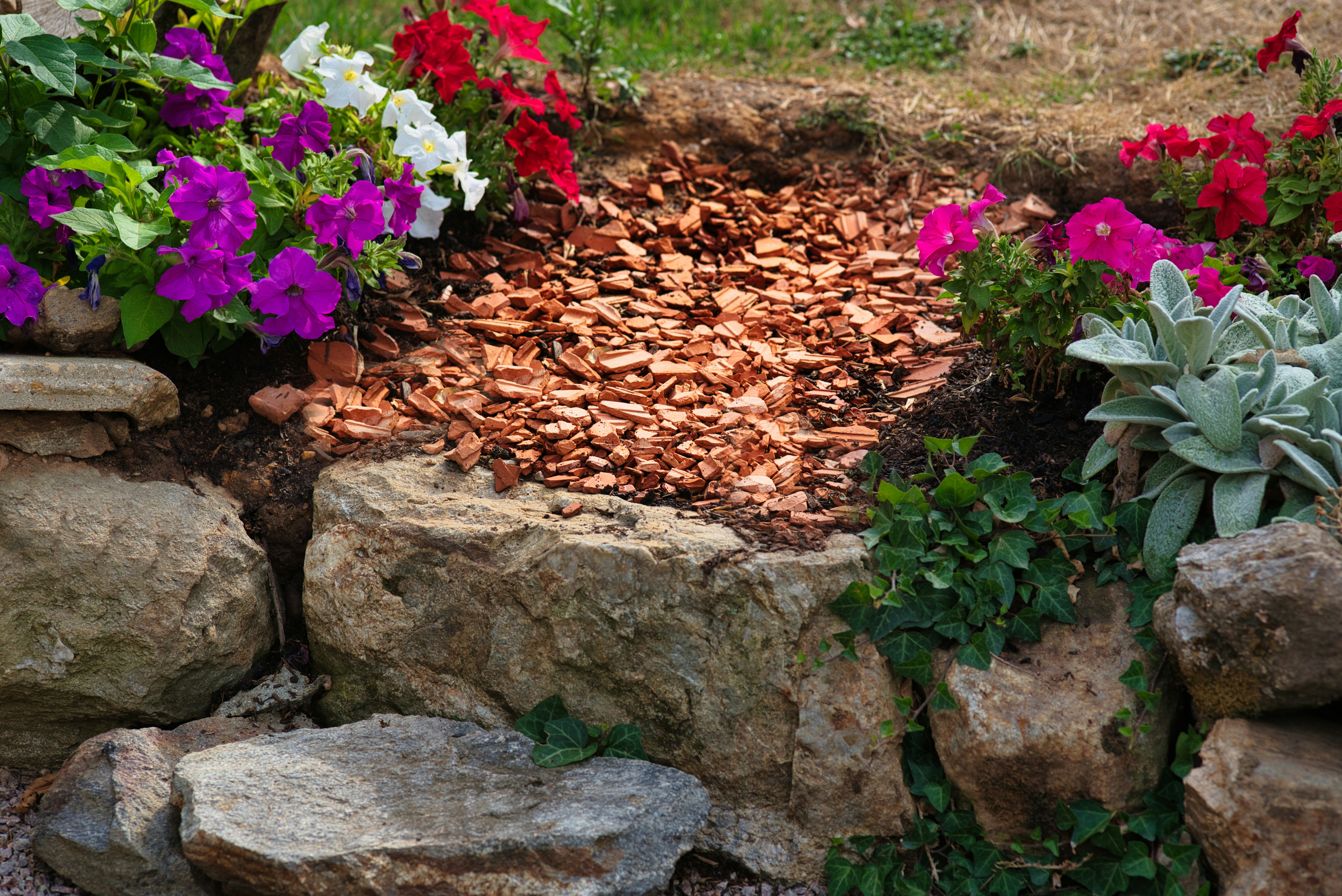 A garden bed with colorful petunias and crushed terracotta mulch between large rocks