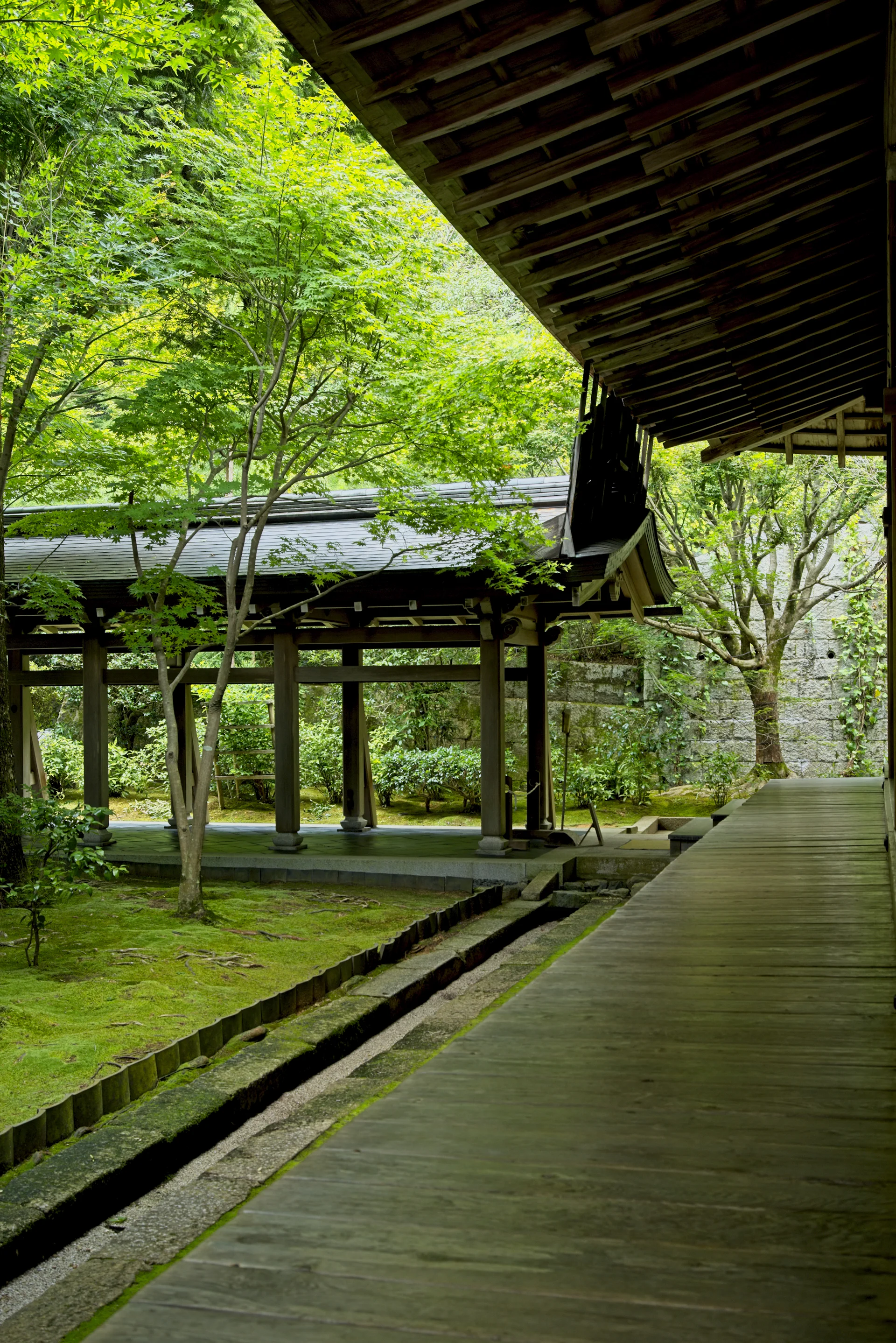 Empty wooden walkway beside a moss garden and temple pavilion, Kyoto