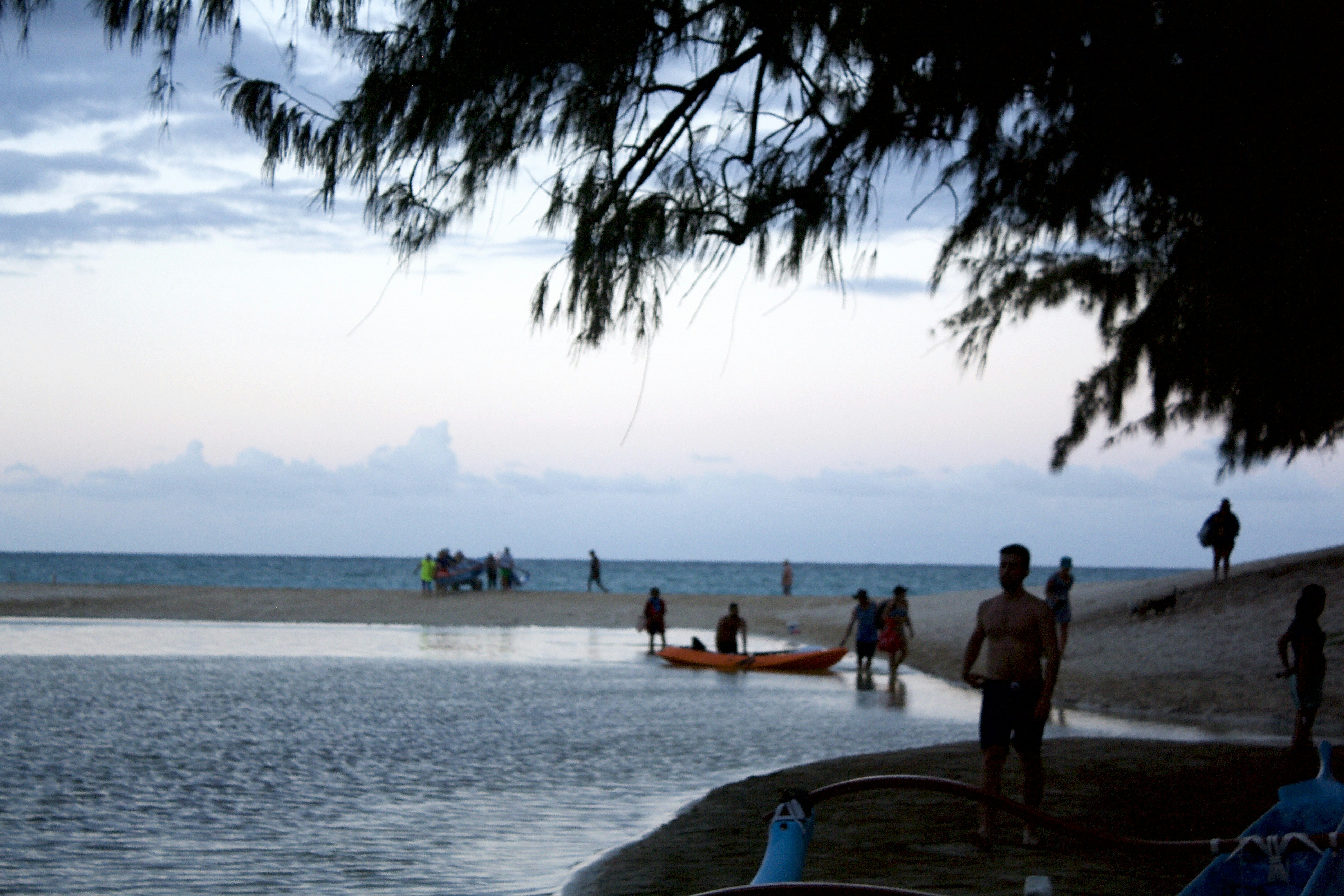 People on a sandy beach near a calm inlet under a tree canopy