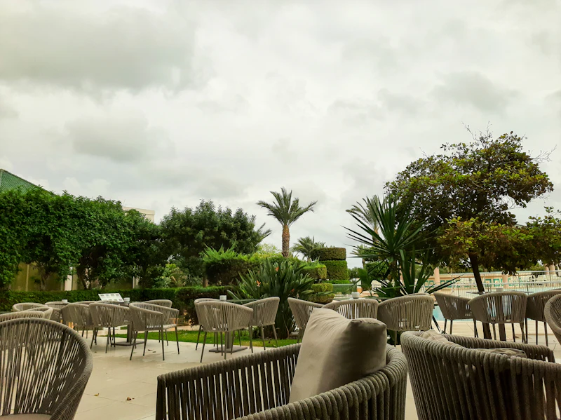 Home Exterior and Garden Renovation: Creating a Tropical Garden Retreat