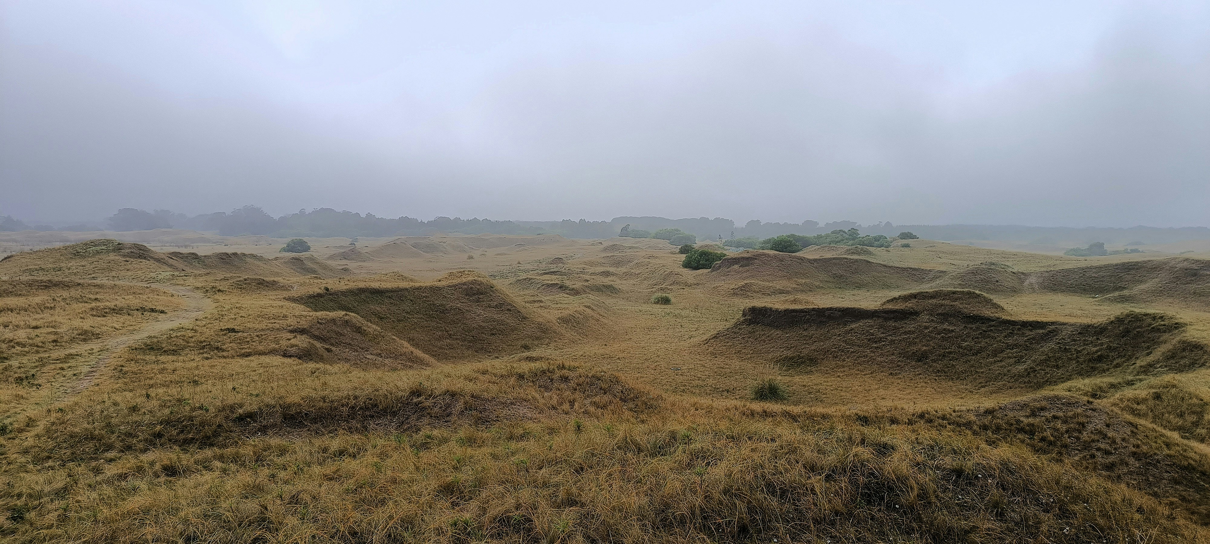 Bukit pasir bergelombang di bawah selimut tebal kabut kelabu