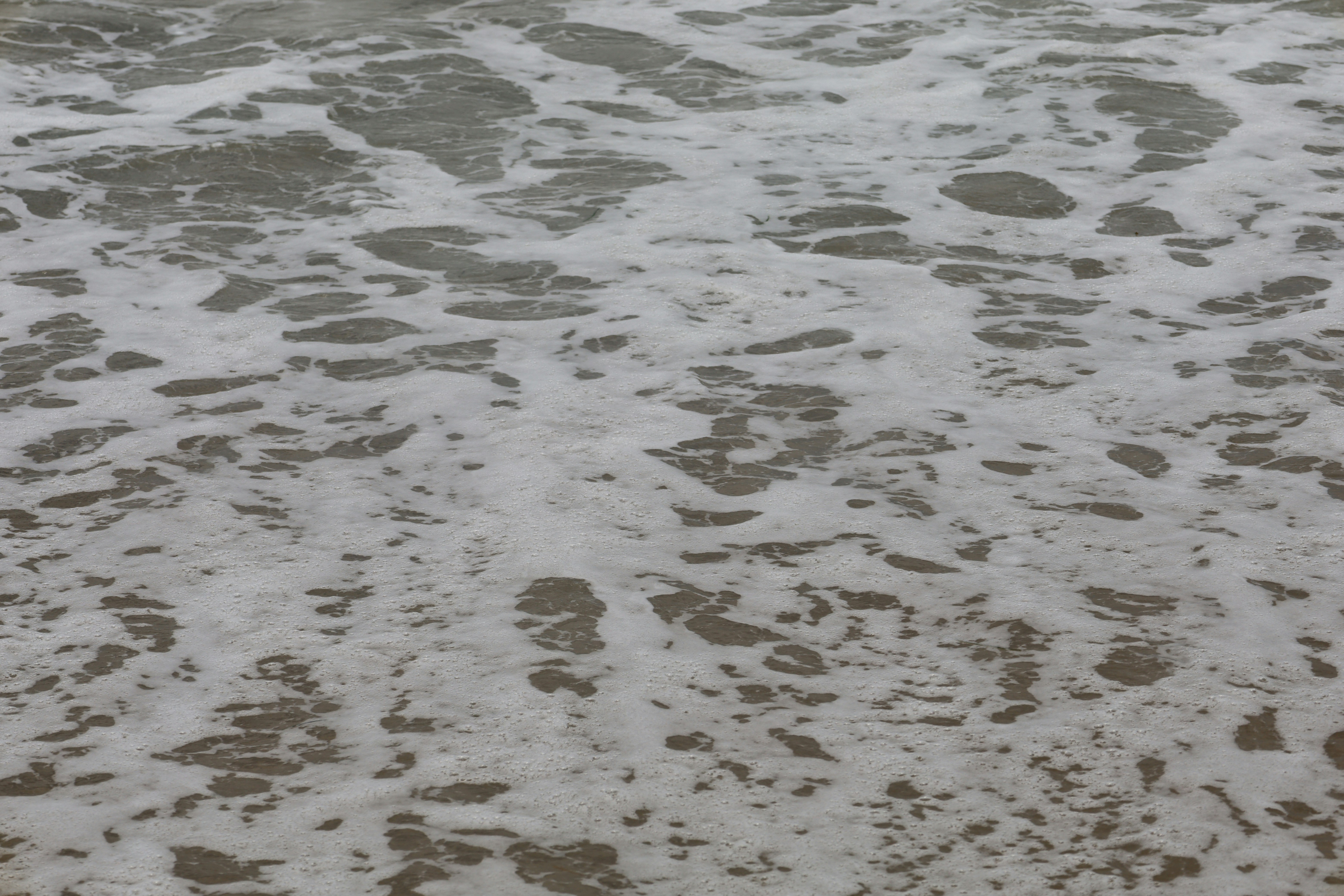 White sea foam swirling over wet brown sand on a beach
