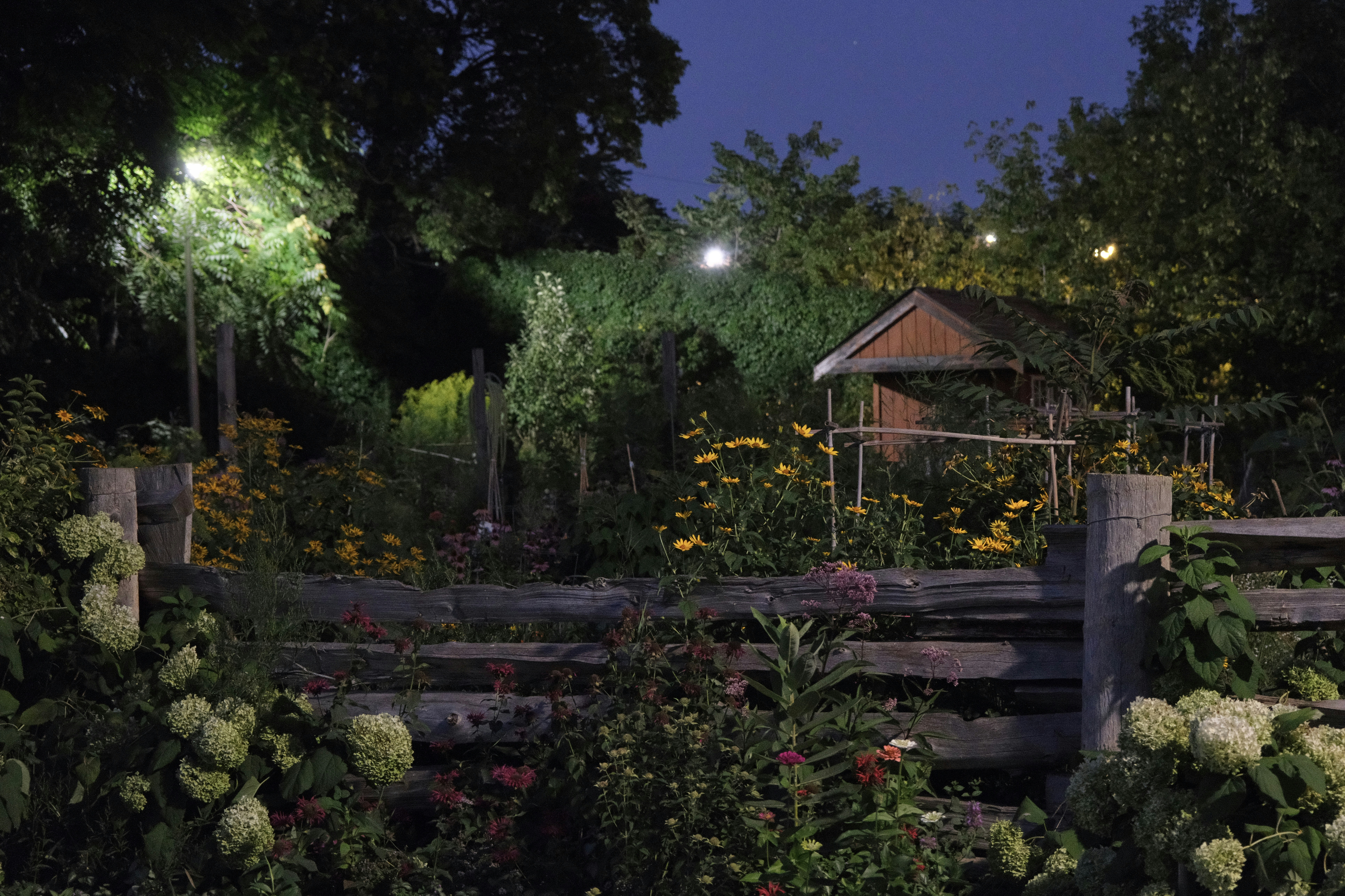 How to Build a Raised Garden Bed for Beginners: A Step-by-Step Guide