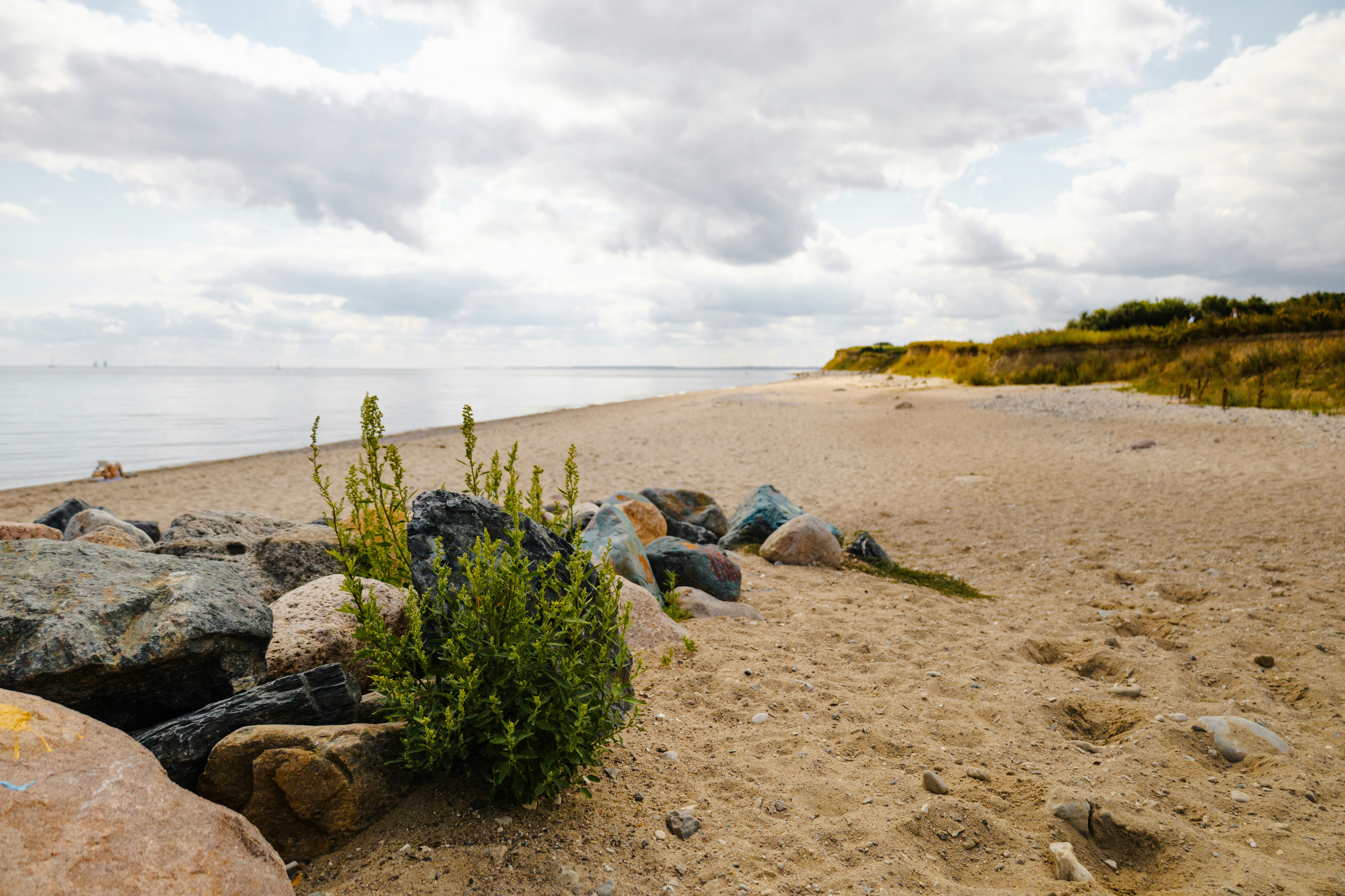A sandy beach with scattered rocks and green plants under a cloudy sky