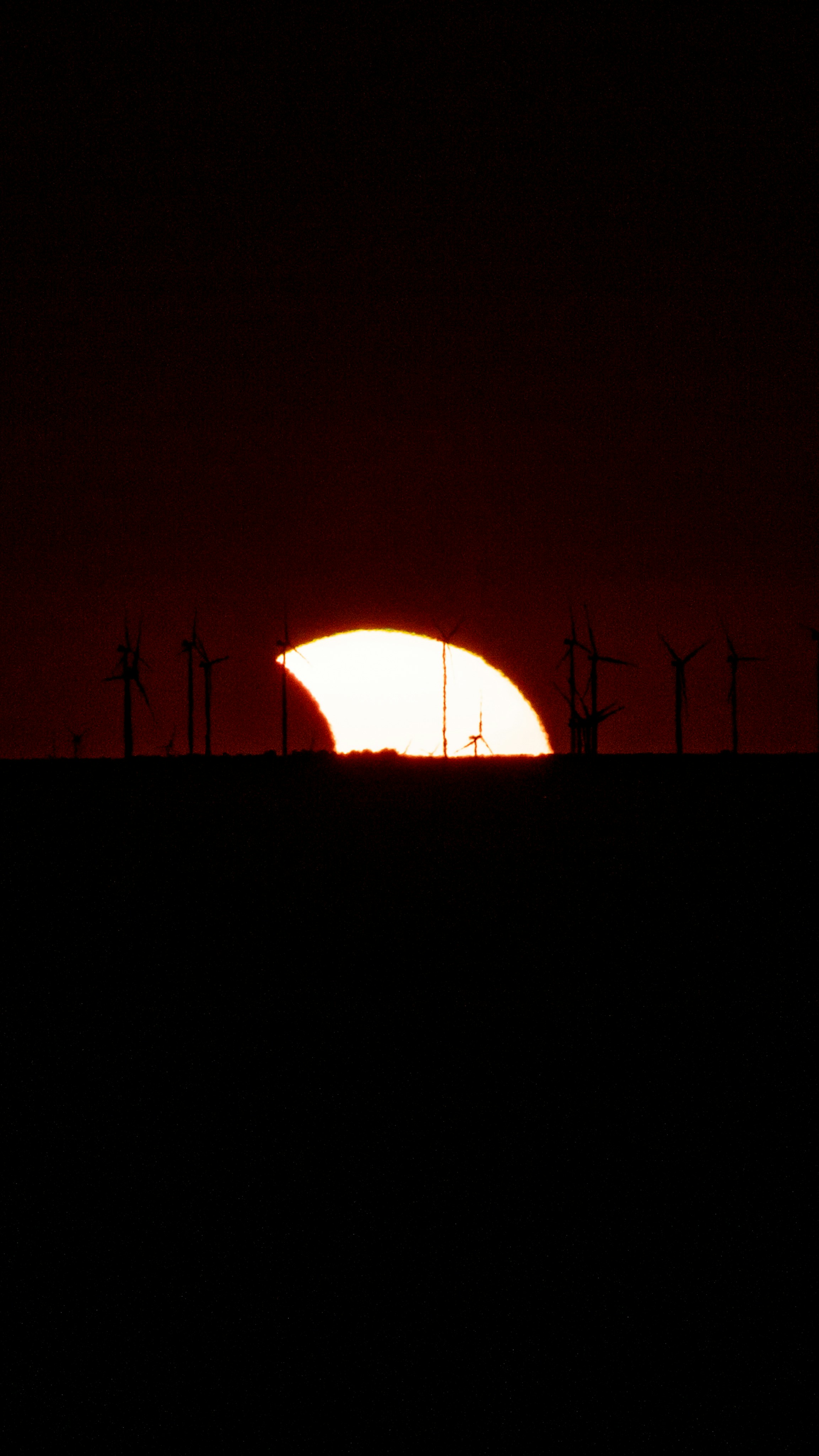 Silhouetted wind turbines against a large, bright, low sun on the horizon.