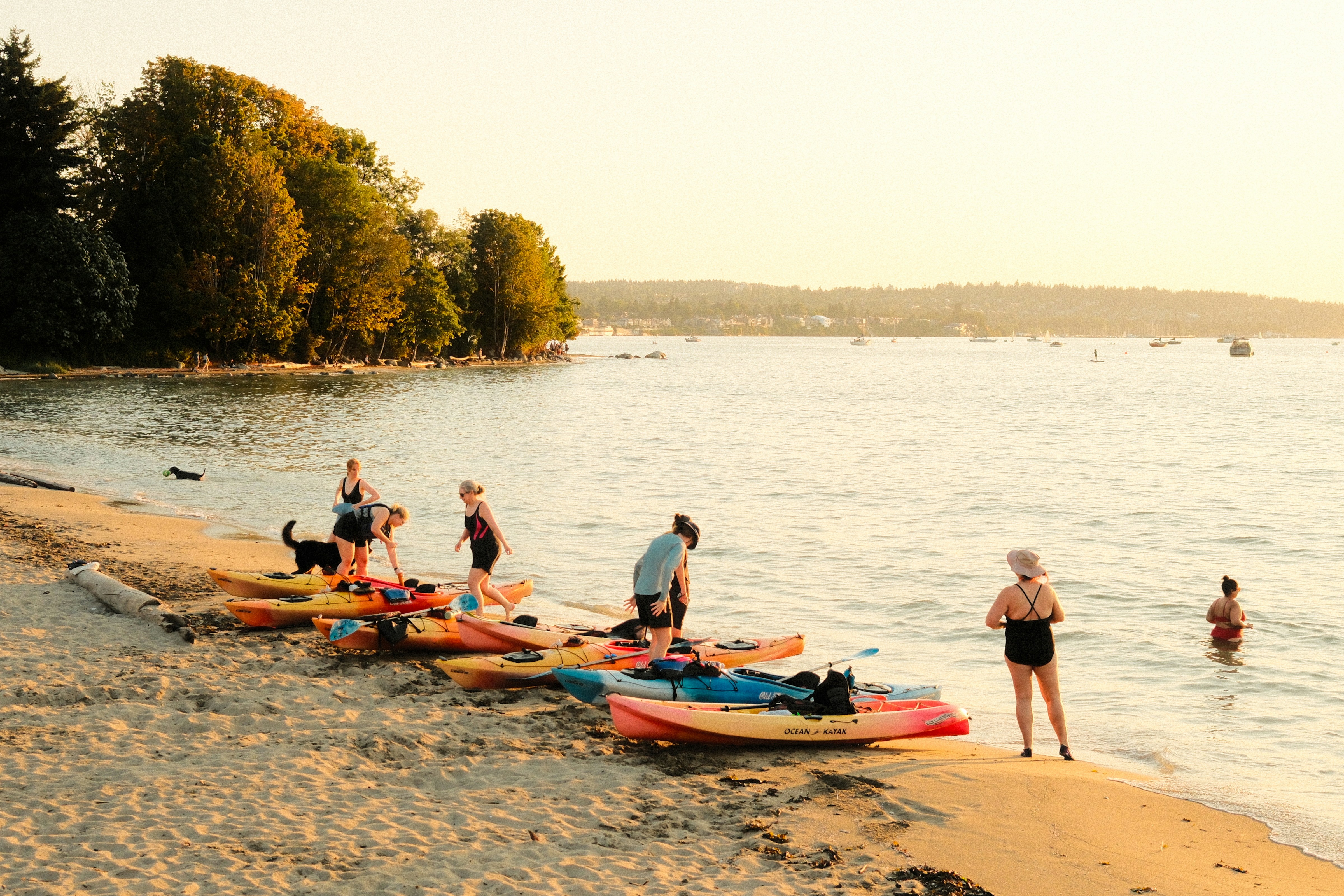 Photo of People with colorful kayaks on a sandy beach during the golden hour by Farnaz Kohankhaki