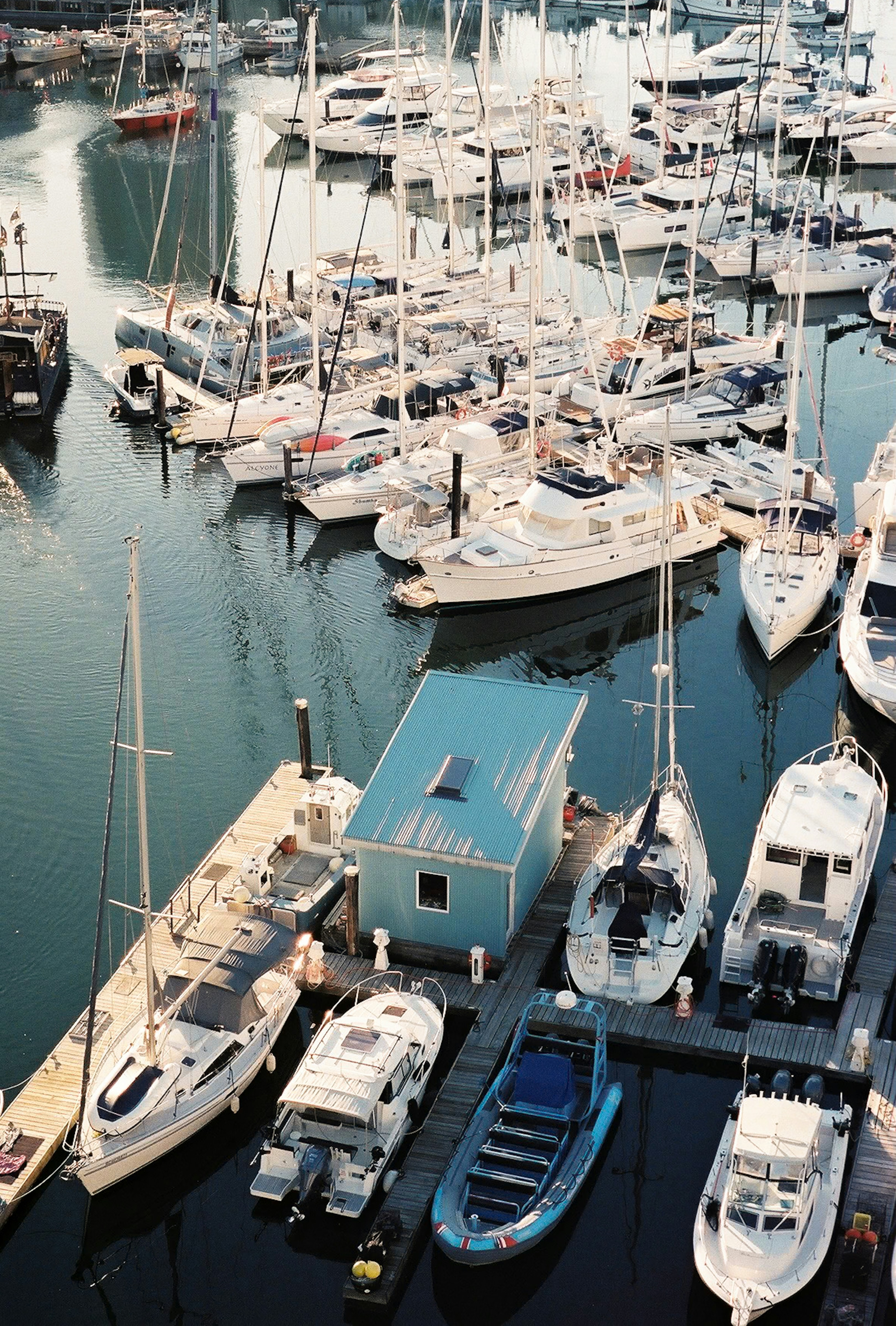 Many sailboats and motorboats moored at a marina with a small blue building