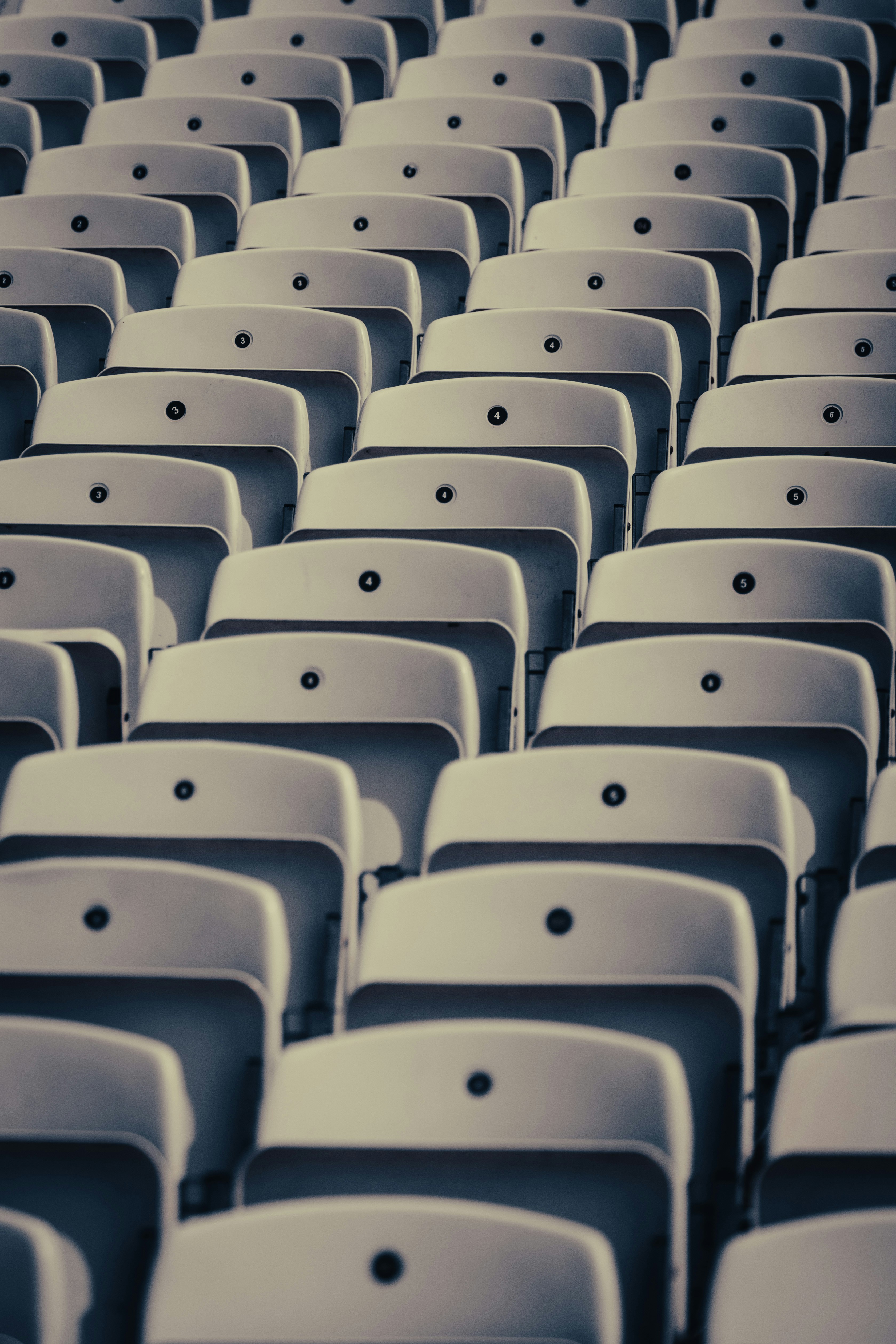 Rows of stadium seats before a match — TigerExch information guide