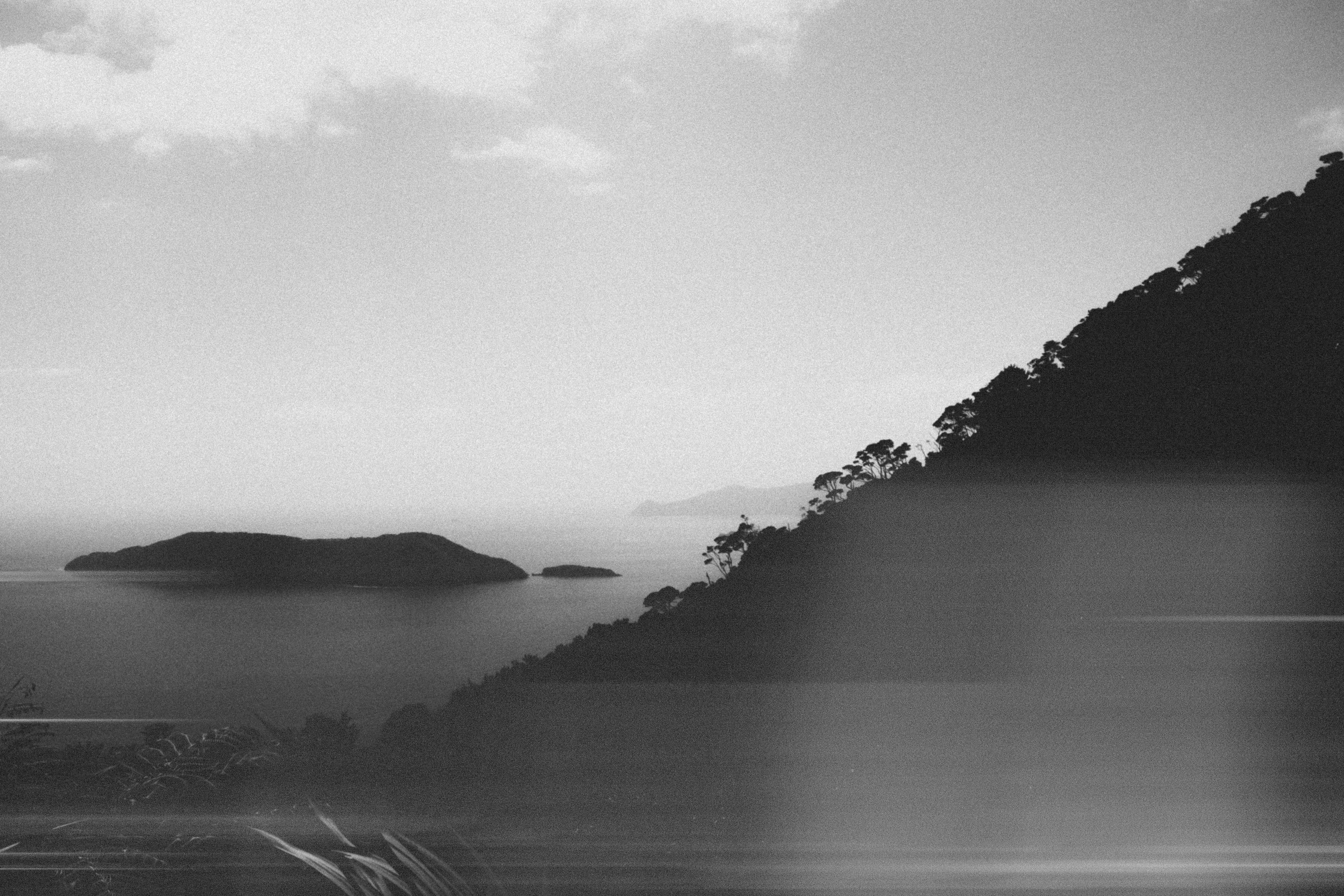 A black and white landscape of a forested hillside overlooking a calm sea